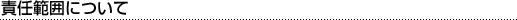 �ӔC�͈͂ɂ���