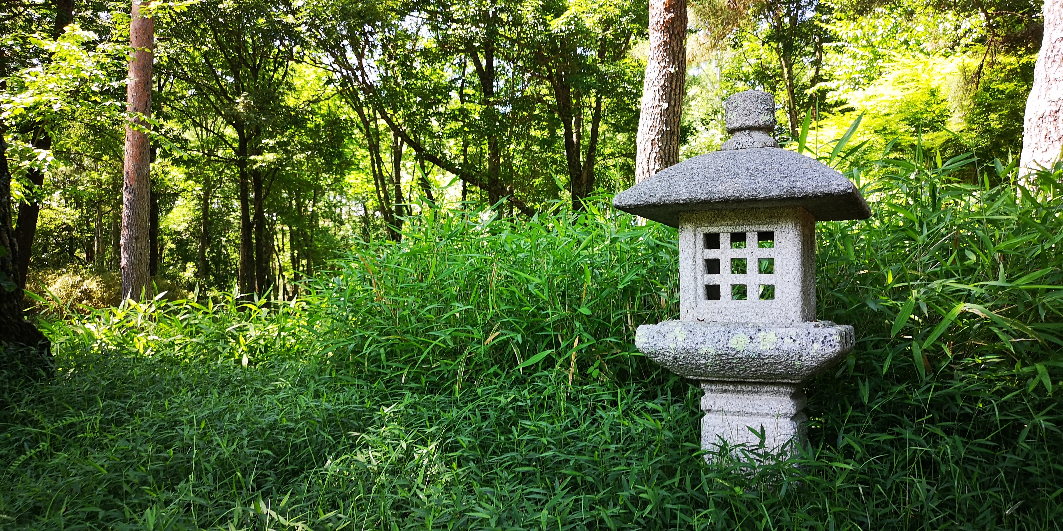 http://www.alpico.co.jp/shikinomori/news/0ad36608e729add174cb41e9b9b5997a54614008.jpg