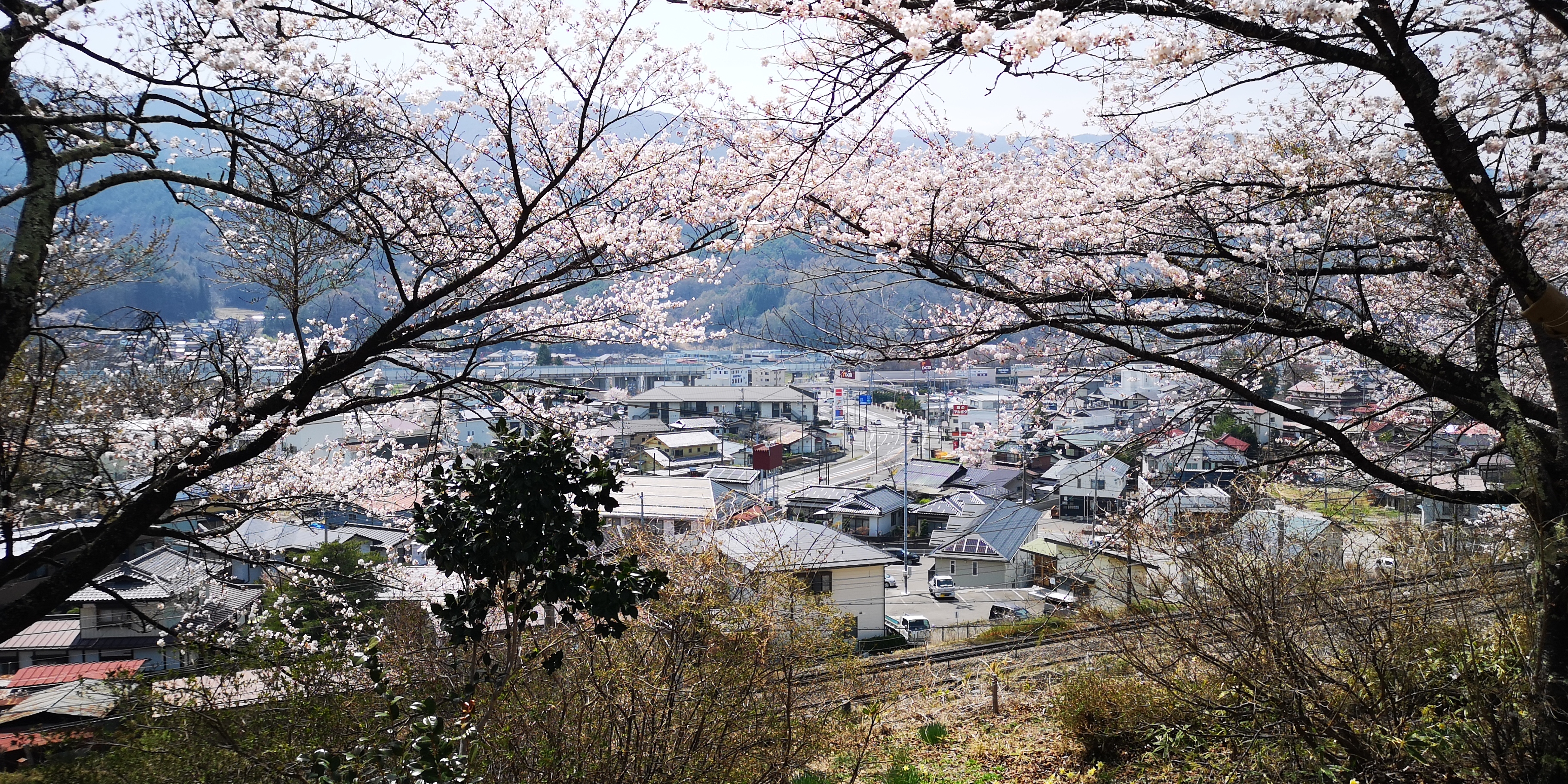 http://www.alpico.co.jp/shikinomori/news/205e991626c725a3fee7a294ed7f67456df02a3e.jpg
