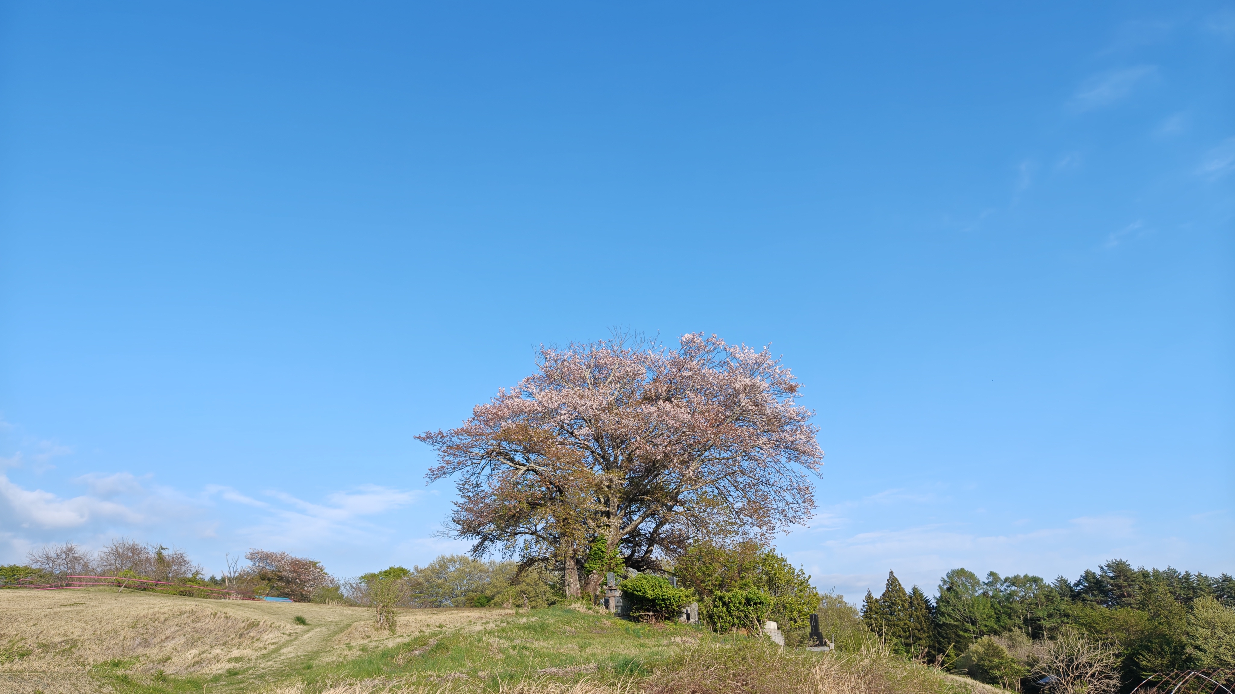 http://www.alpico.co.jp/shikinomori/news/260425165617440.JPG