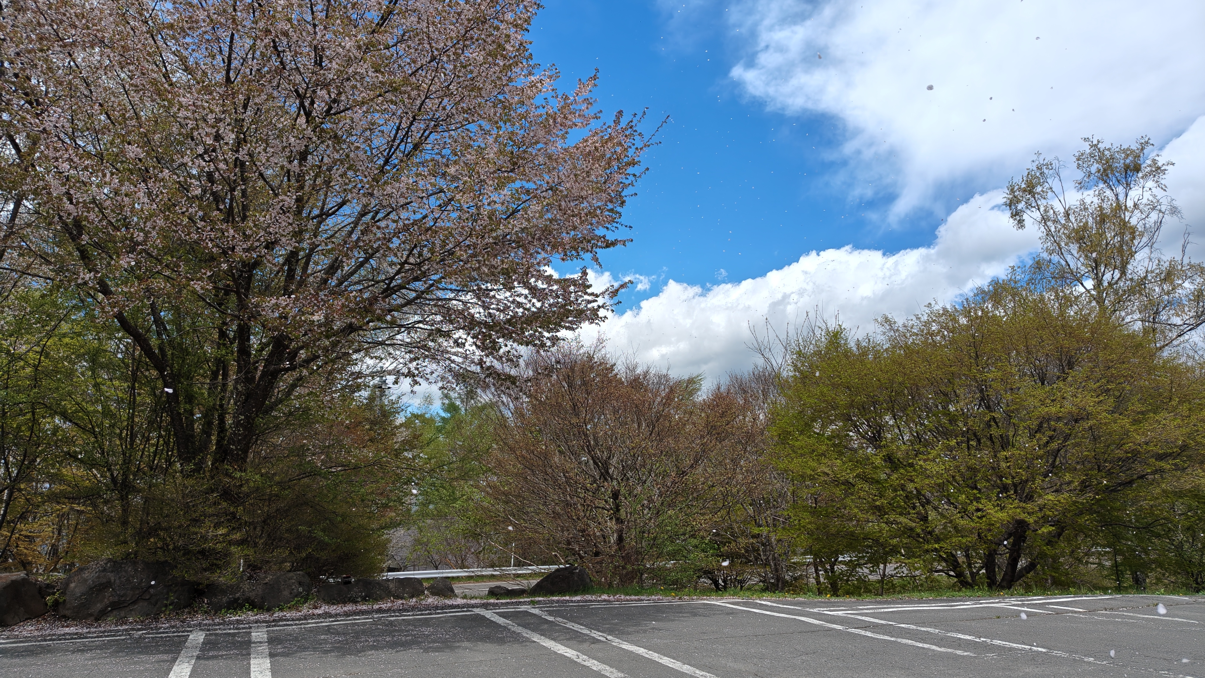 http://www.alpico.co.jp/shikinomori/news/260504114644124.JPG