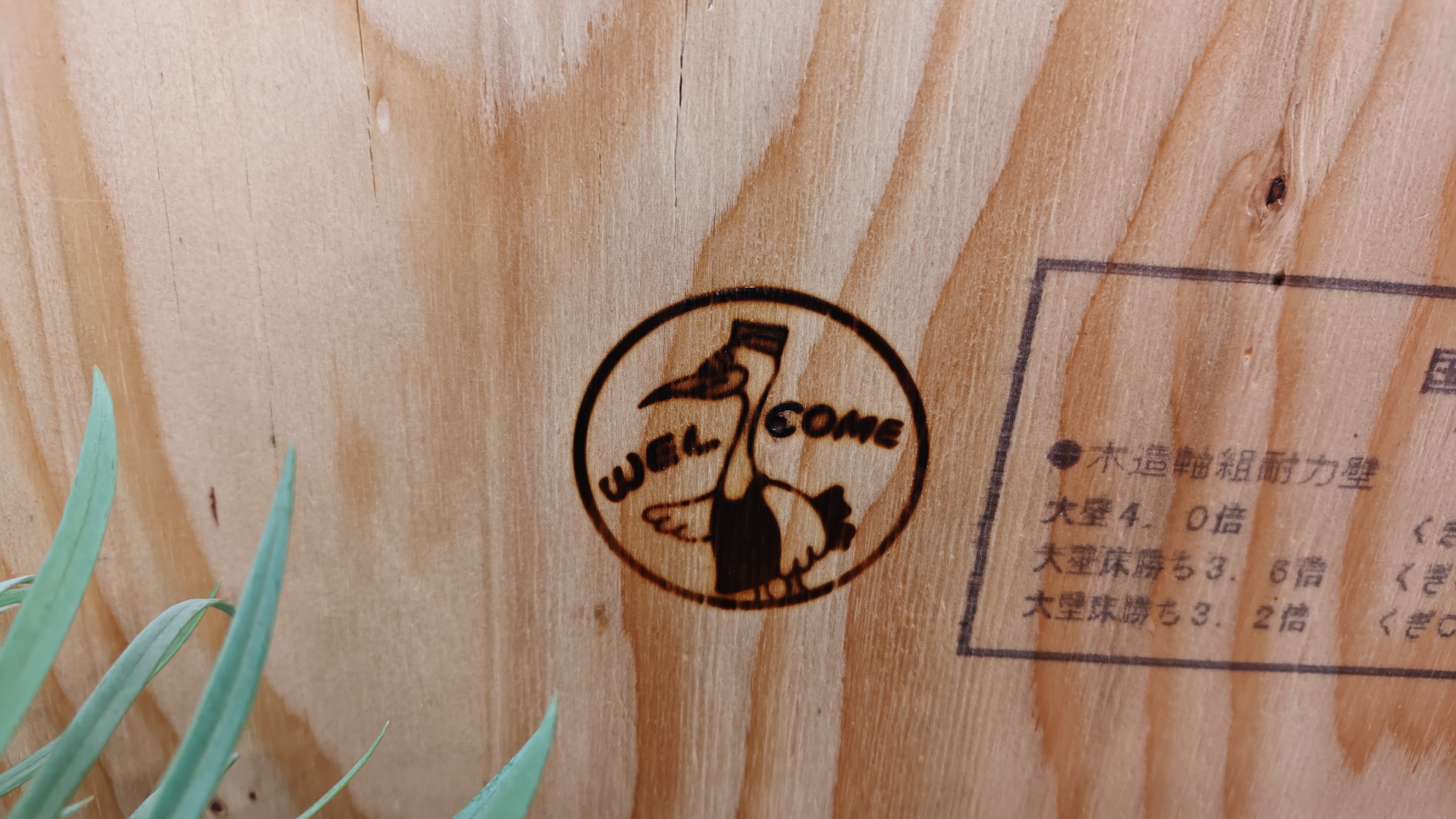 http://www.alpico.co.jp/shikinomori/news/260507194057942.JPG