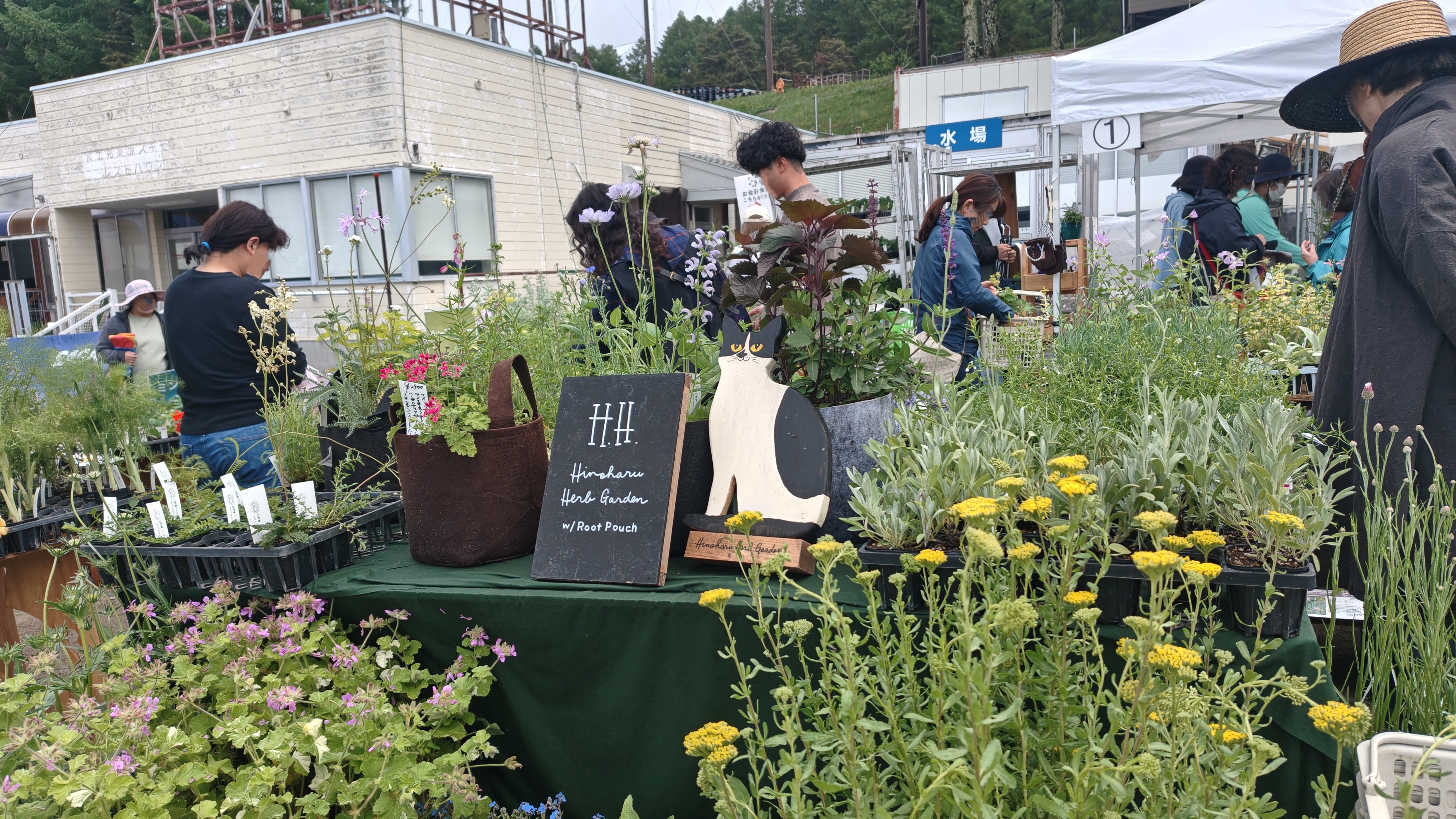 http://www.alpico.co.jp/shikinomori/news/260524090059969.JPG