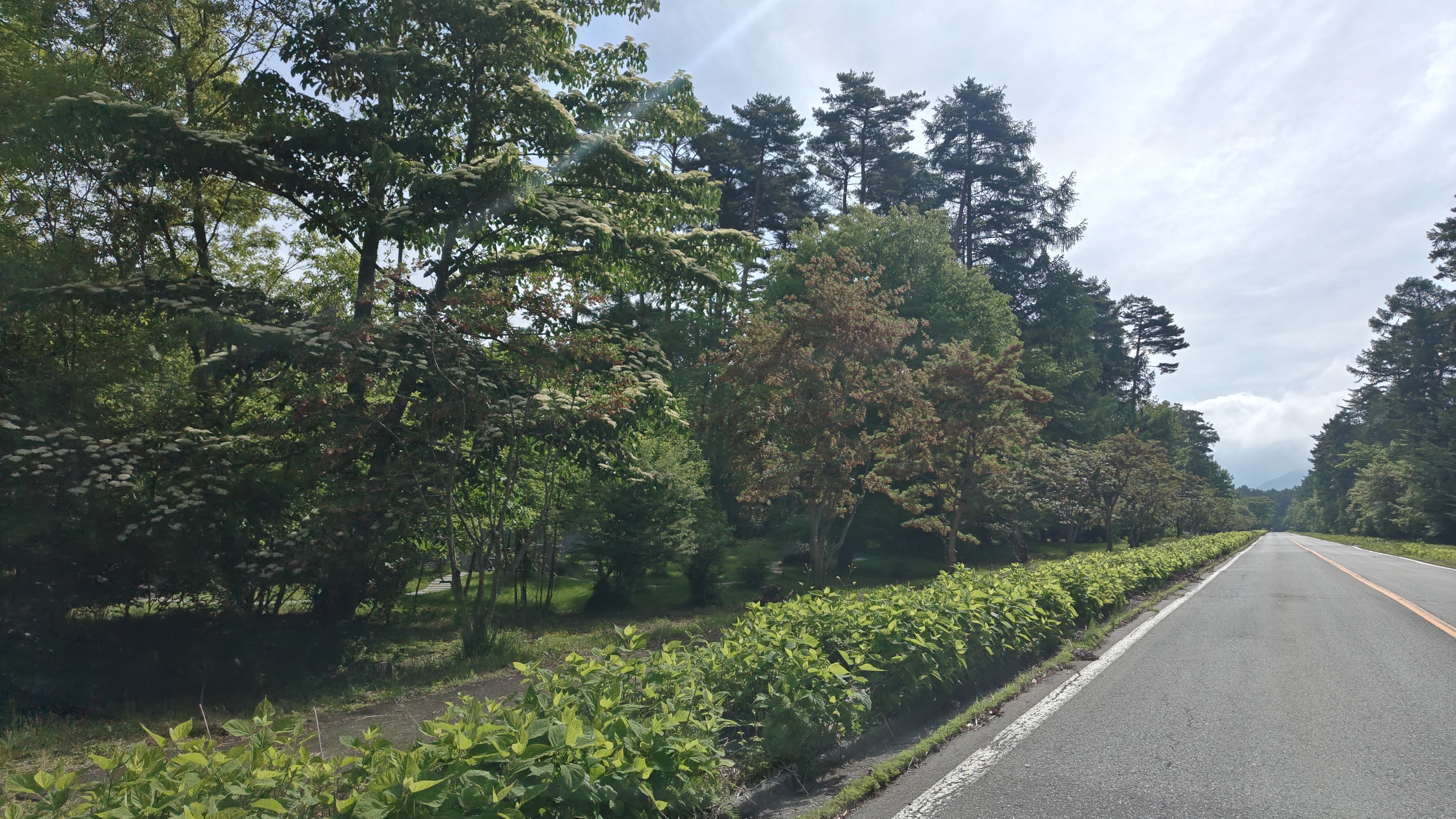 http://www.alpico.co.jp/shikinomori/news/260527083229778.JPG