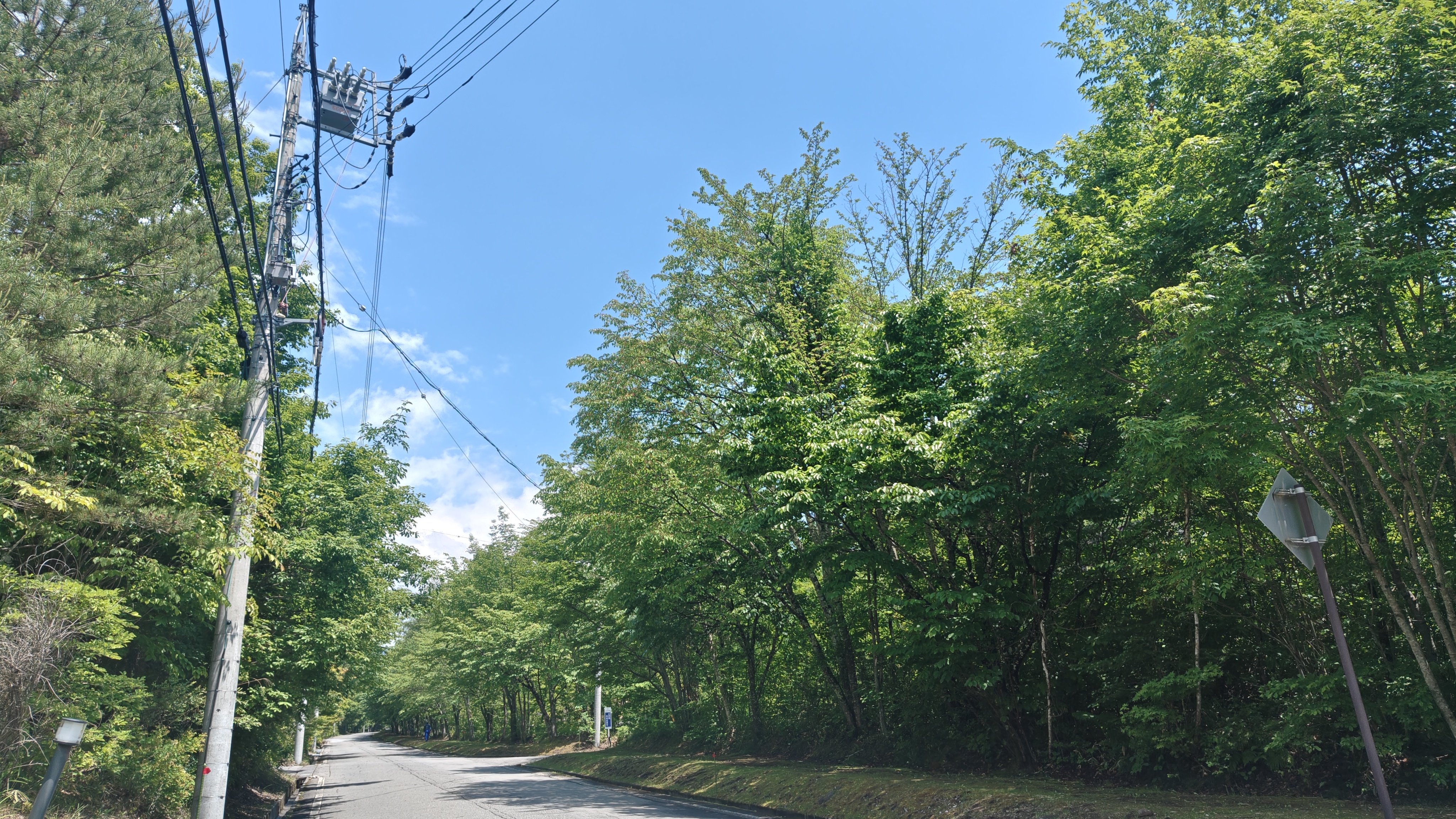 http://www.alpico.co.jp/shikinomori/news/260612130101939.JPG