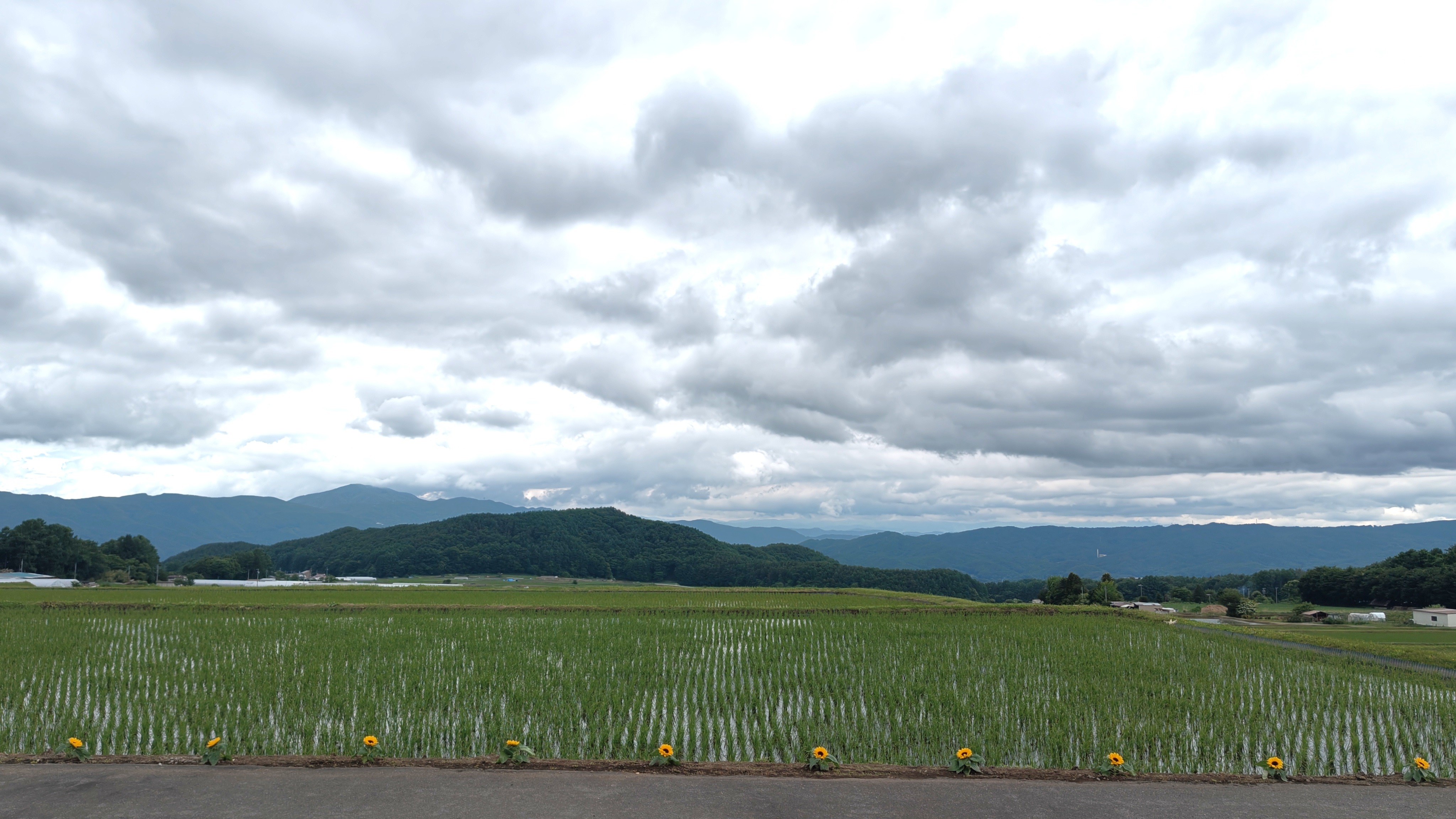 http://www.alpico.co.jp/shikinomori/news/260615103204745.JPG