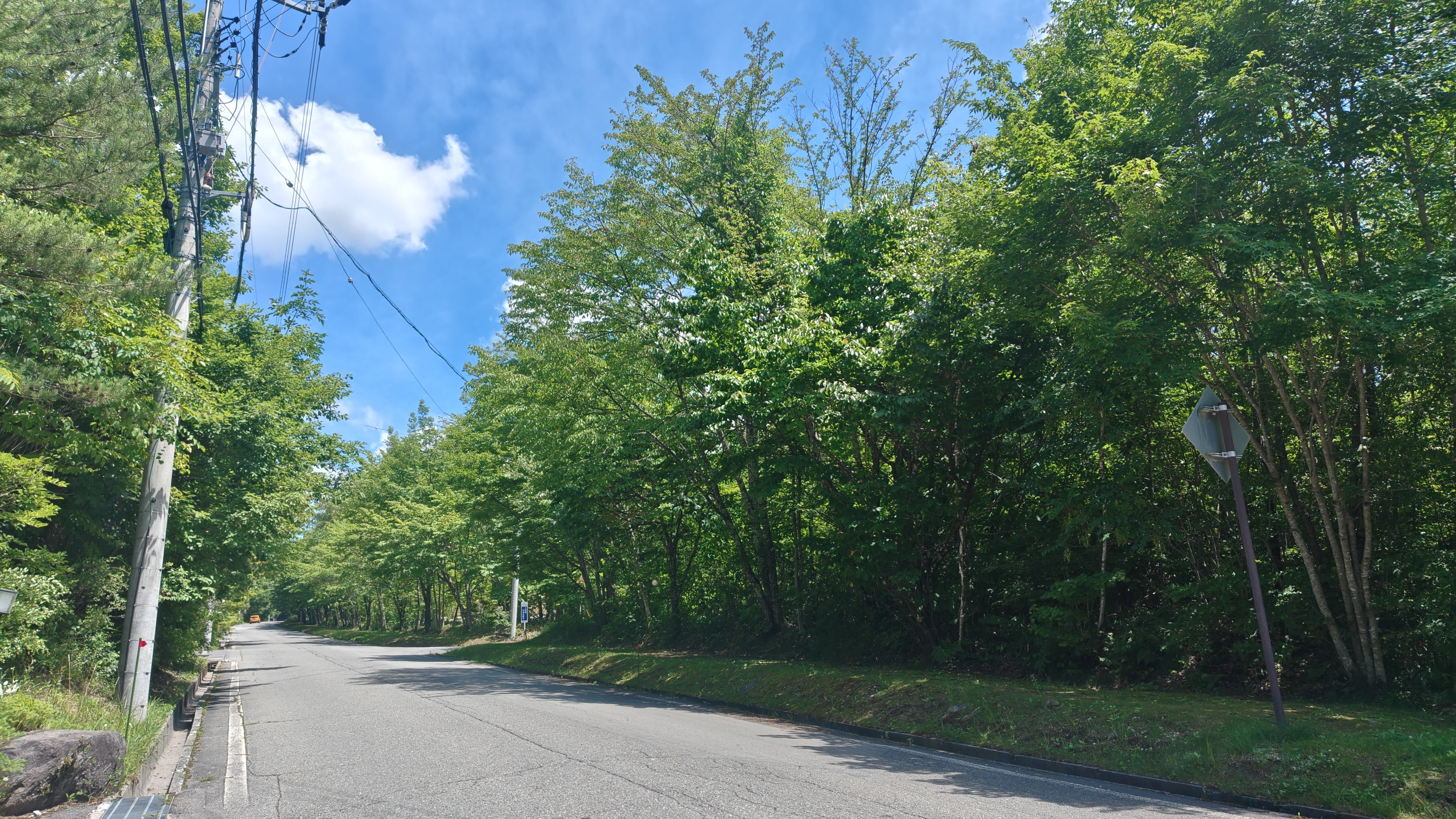 http://www.alpico.co.jp/shikinomori/news/260715130108002.JPG