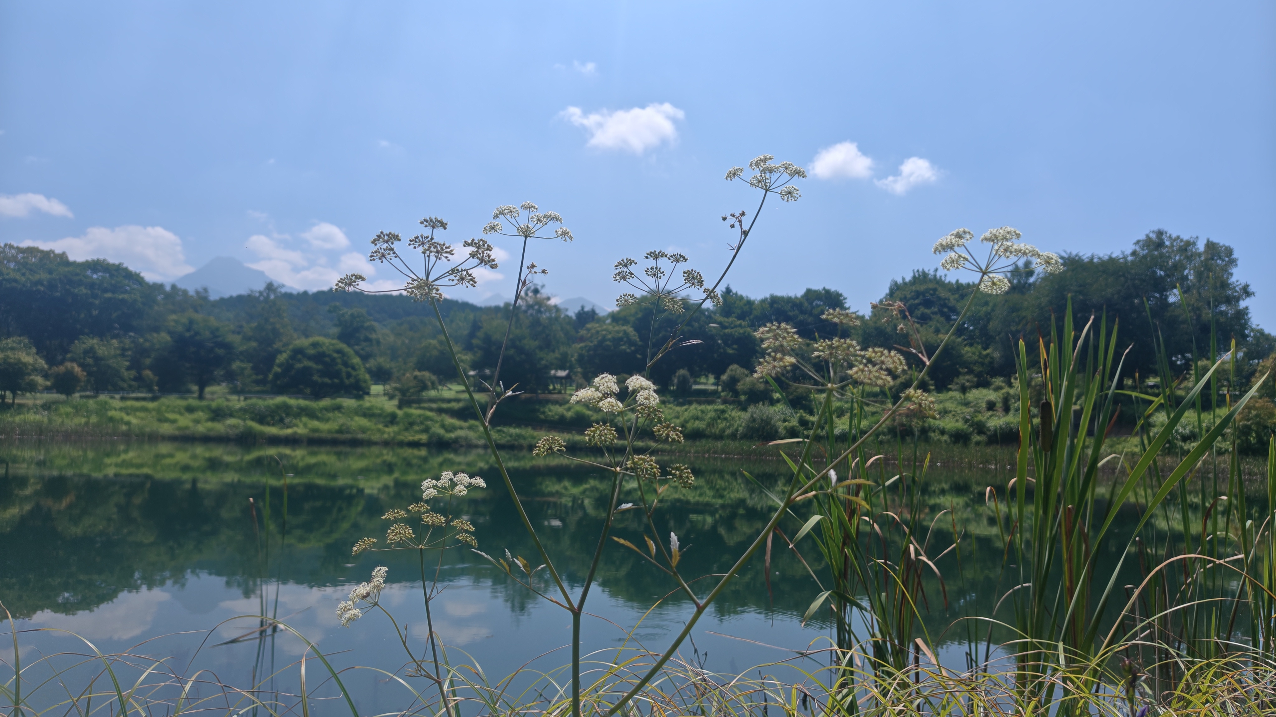 http://www.alpico.co.jp/shikinomori/news/260722100900438.JPG