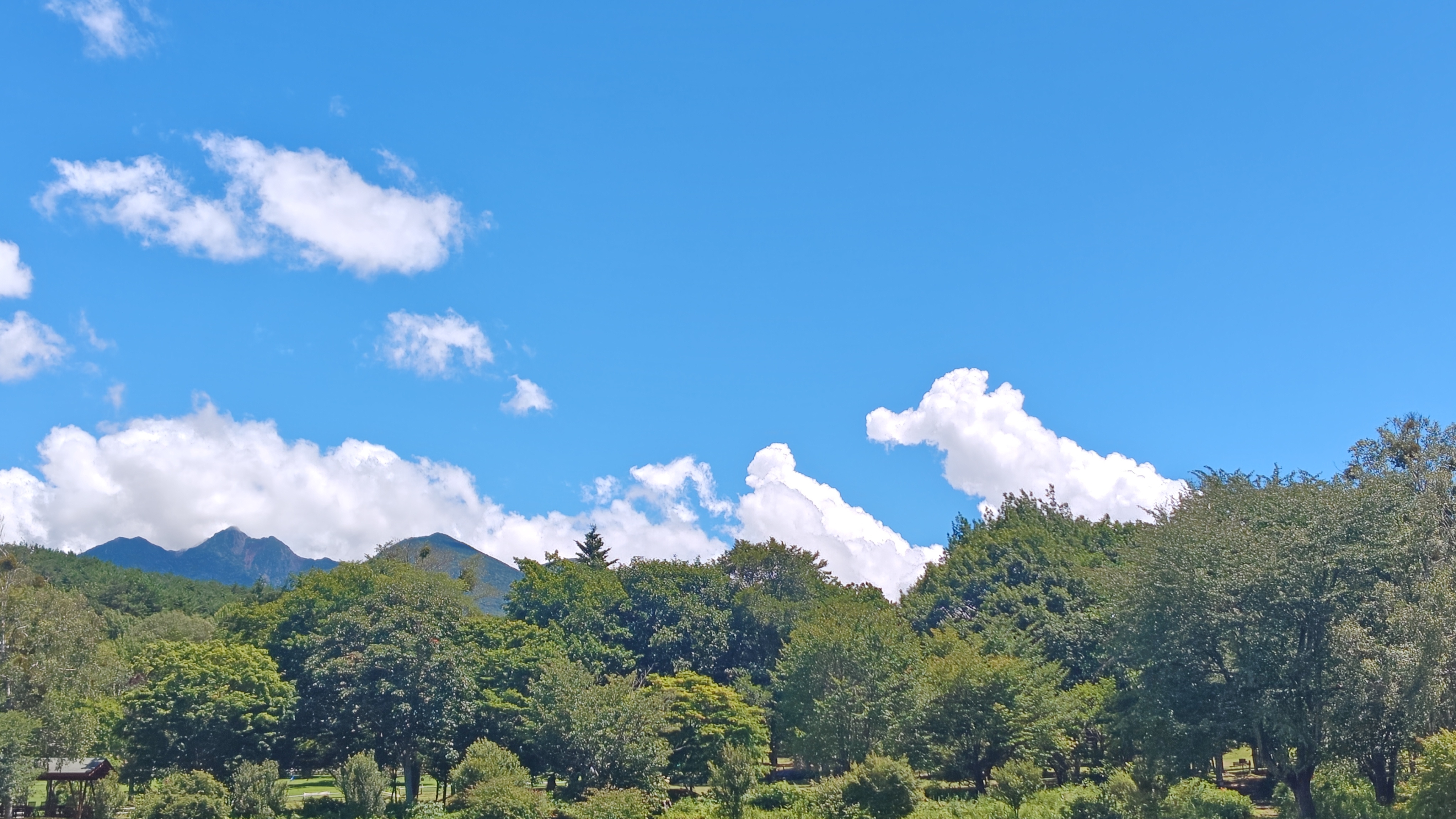 http://www.alpico.co.jp/shikinomori/news/260806122120895.JPG