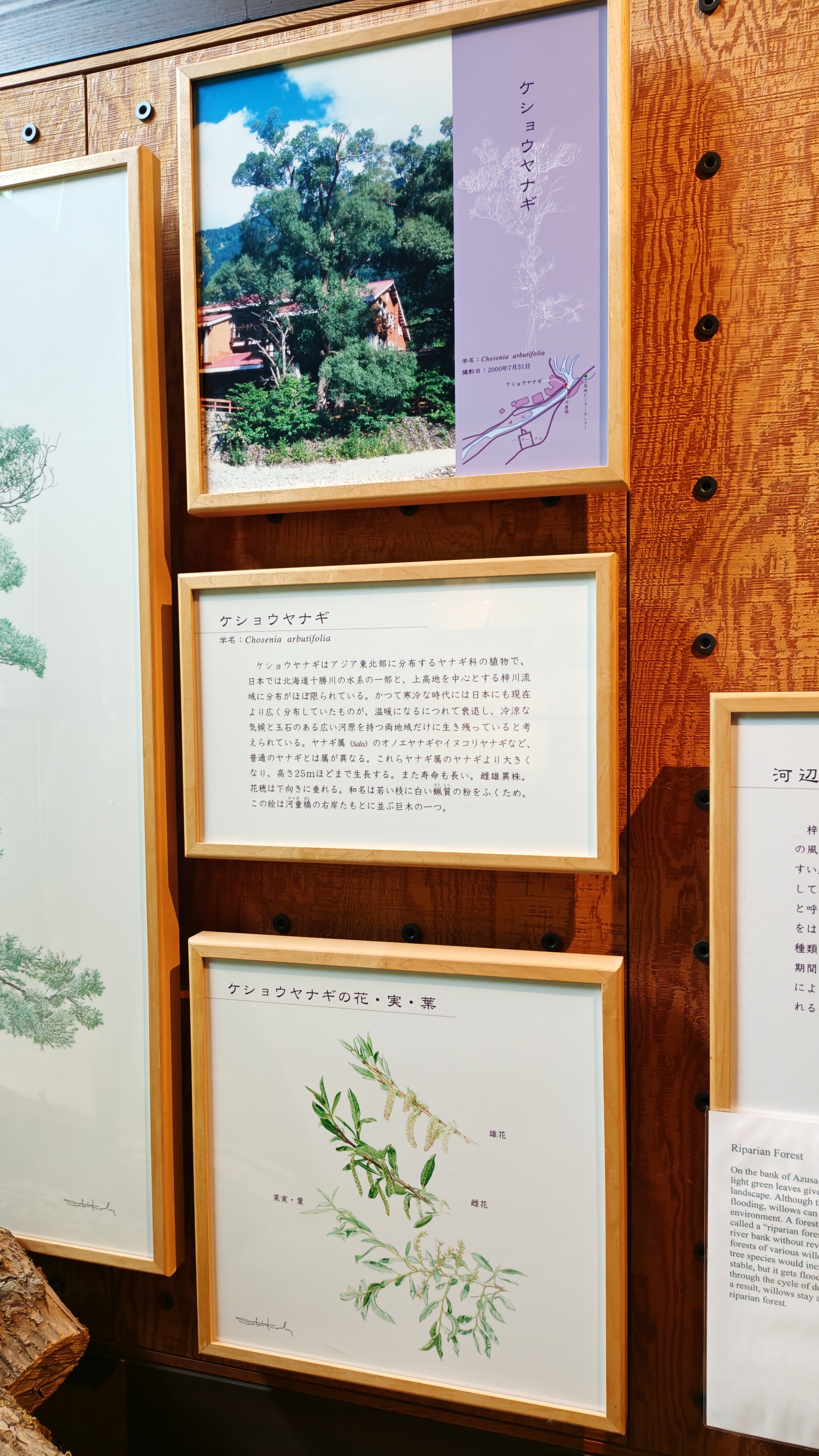 http://www.alpico.co.jp/shikinomori/news/260818122815927.JPG