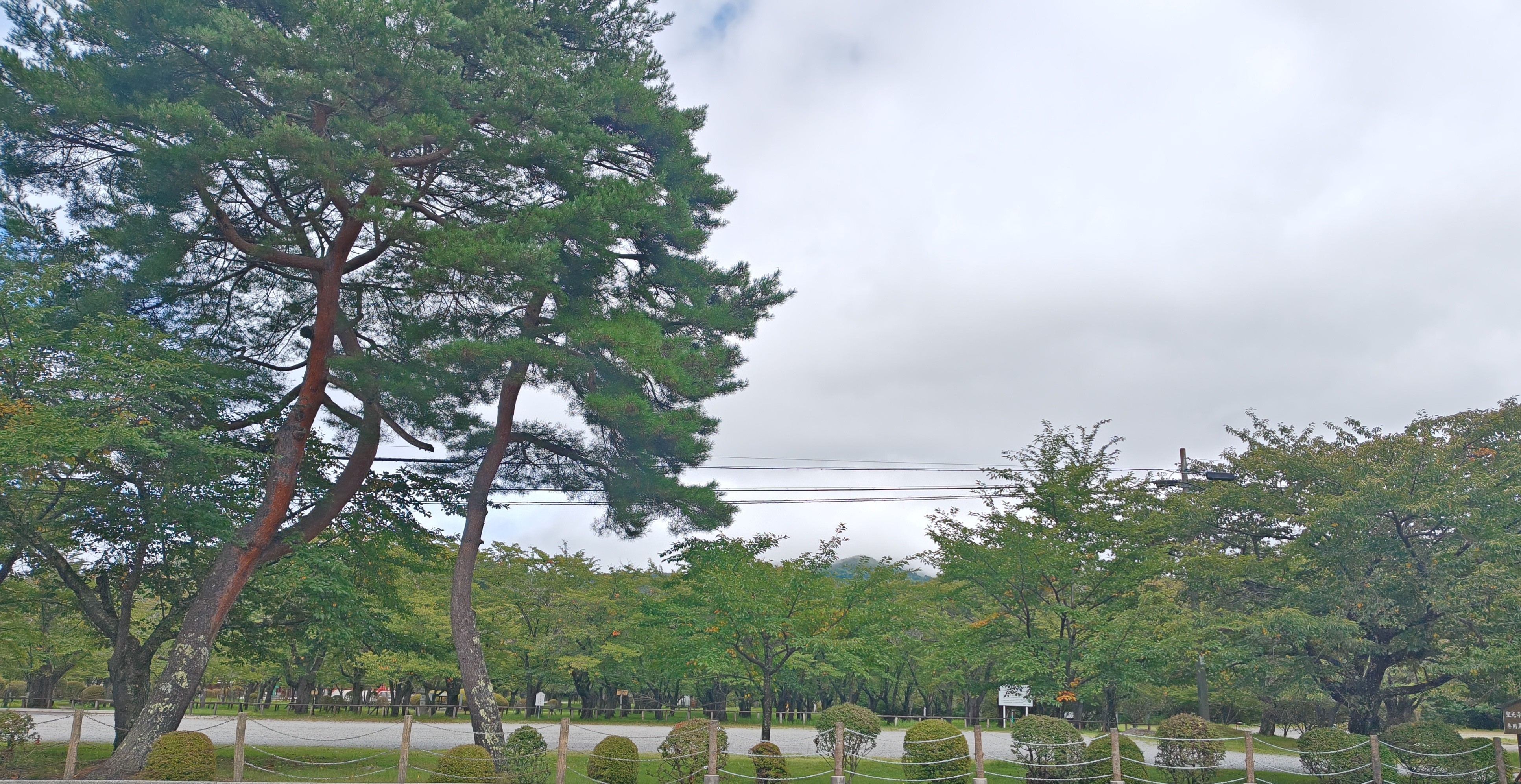 http://www.alpico.co.jp/shikinomori/news/260918101210307.JPG