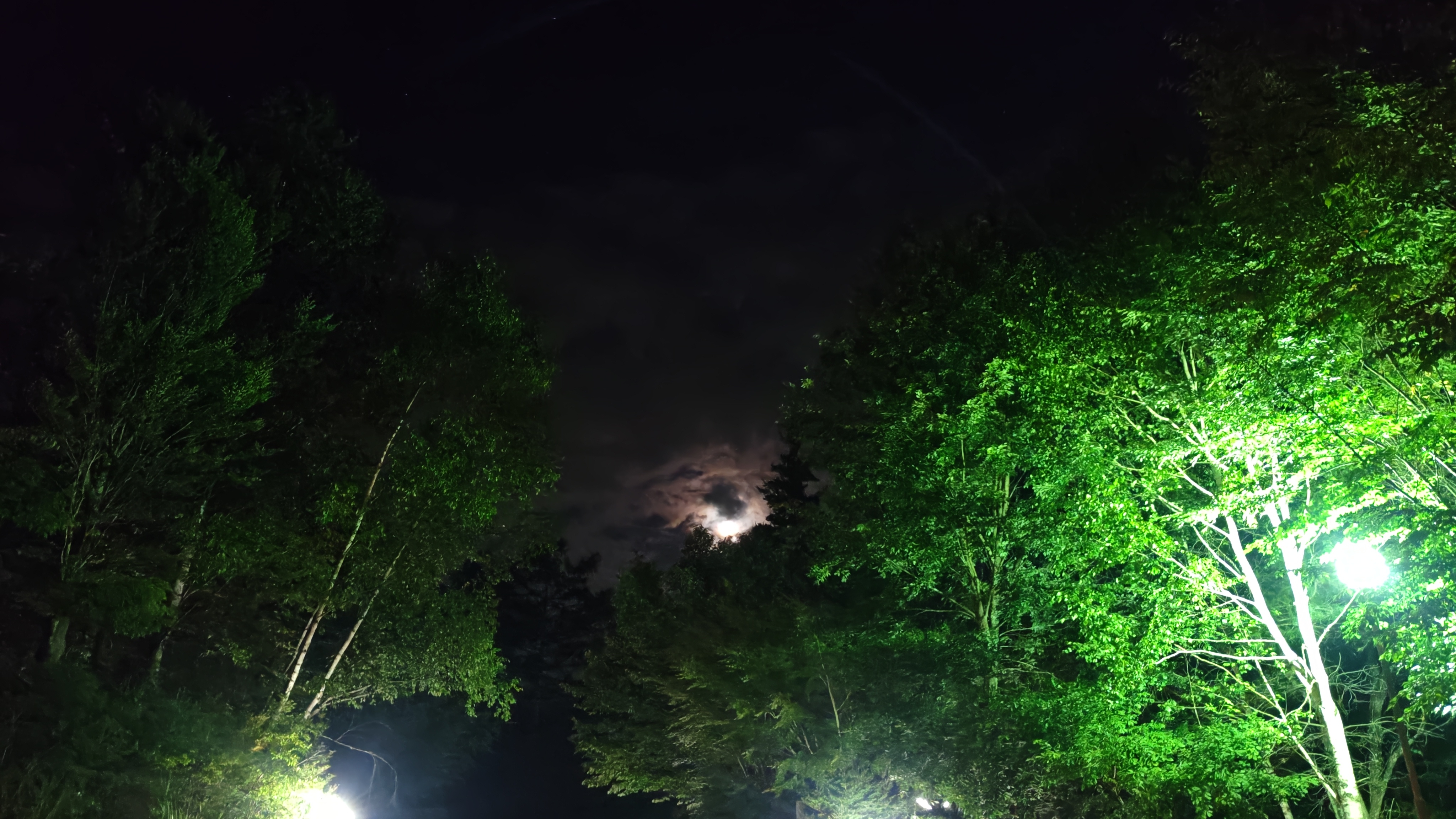 http://www.alpico.co.jp/shikinomori/news/278ab3be6c6ee370f30dc26d67f93ca29602e559.JPG