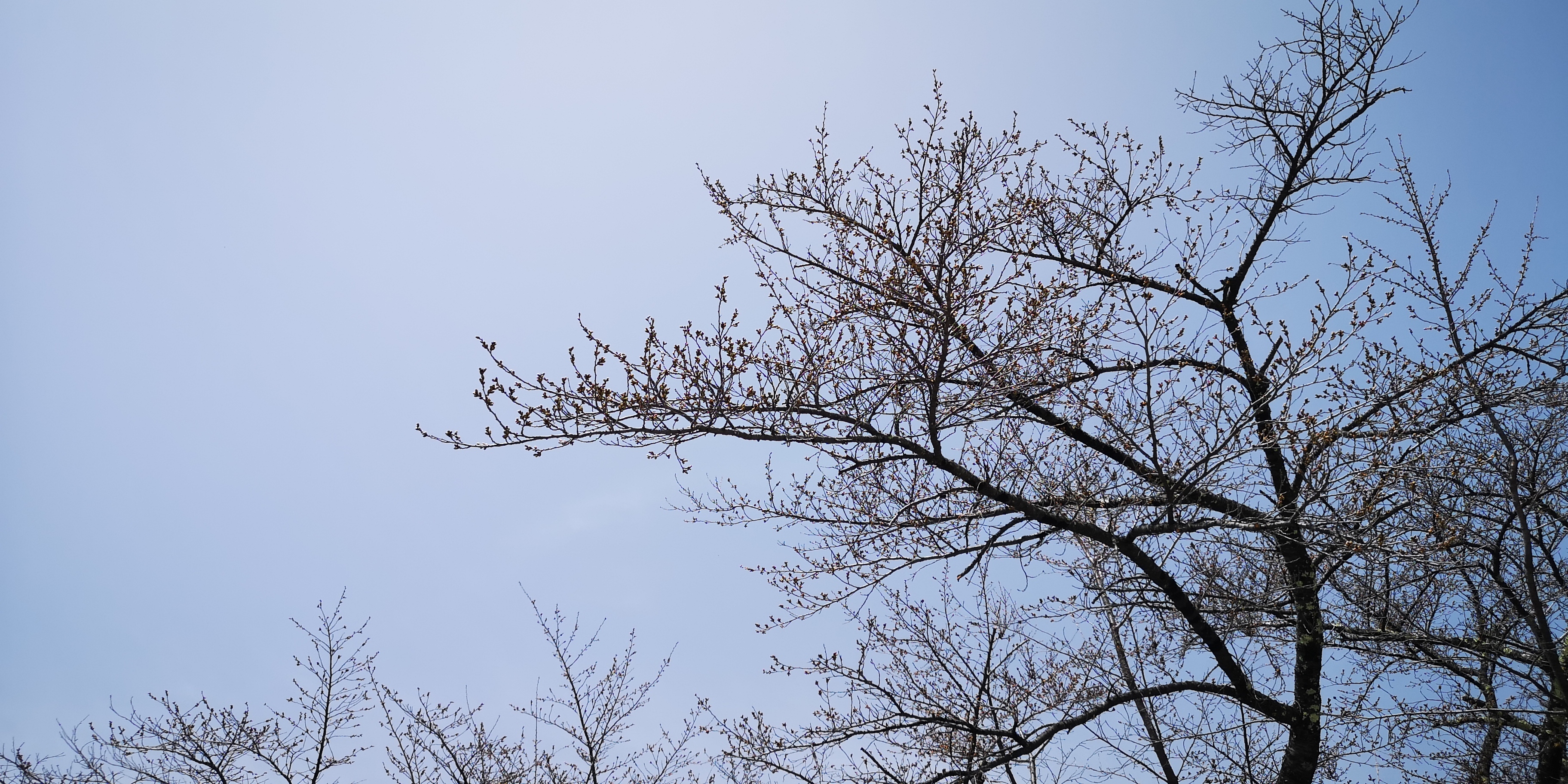 http://www.alpico.co.jp/shikinomori/news/28fd53853e7454ccd02665c01b3591c3c6c1f07b.jpg