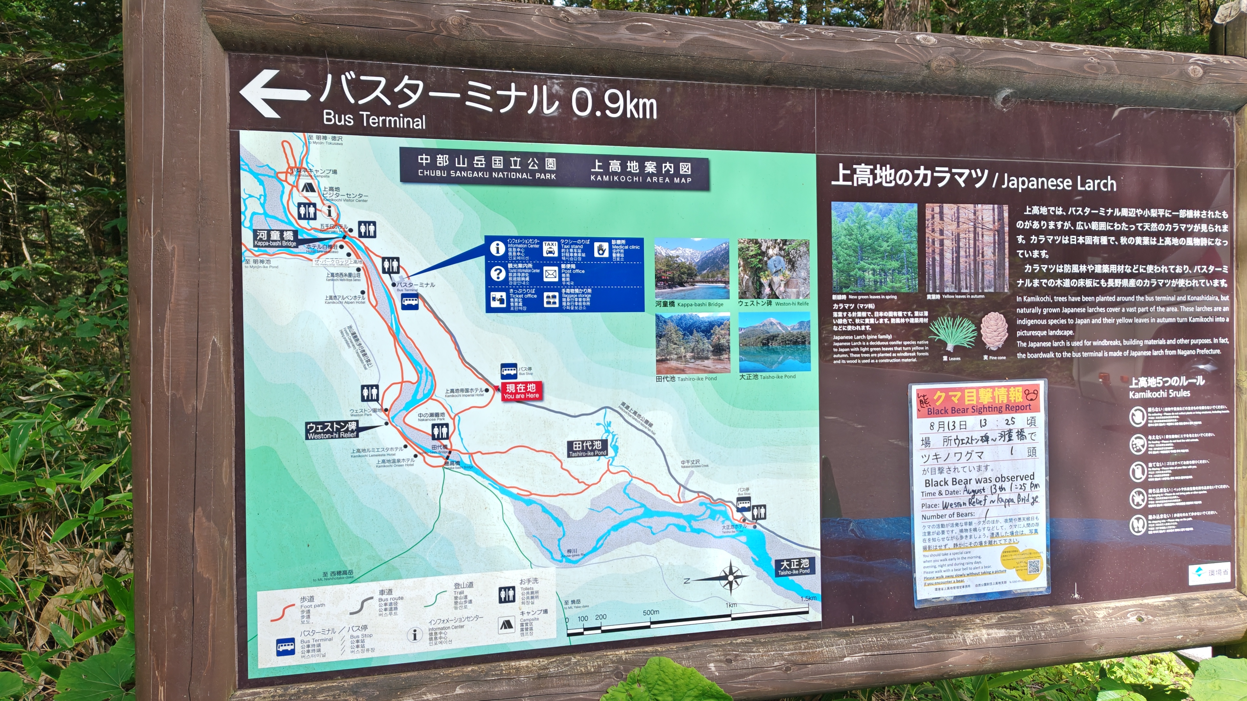 http://www.alpico.co.jp/shikinomori/news/37be3c671a3d140221c0c1545bf84520afe33199.JPG