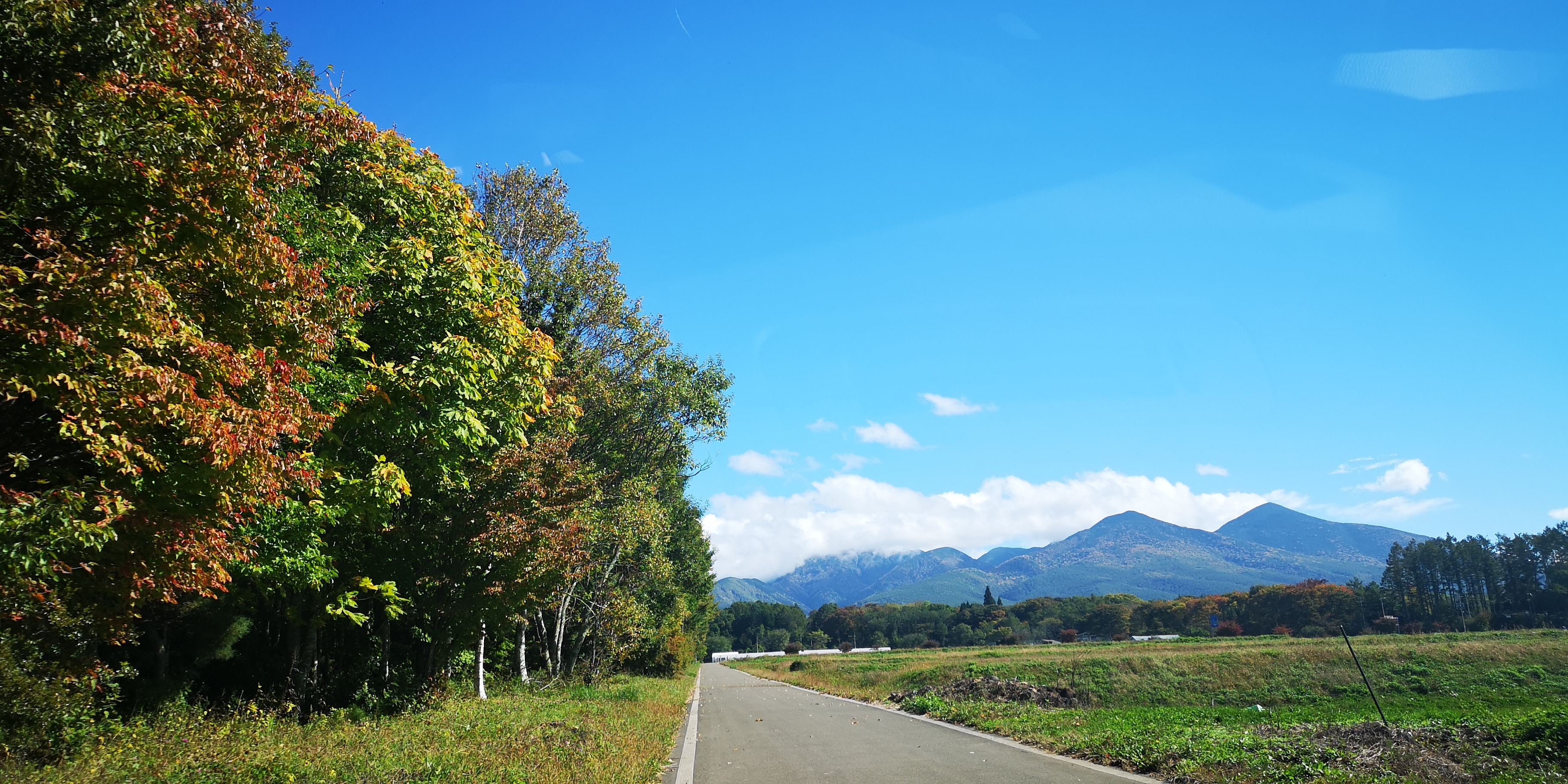 http://www.alpico.co.jp/shikinomori/news/4b7e173a34e91198f9e35fc79735077ff362a0ea.jpg