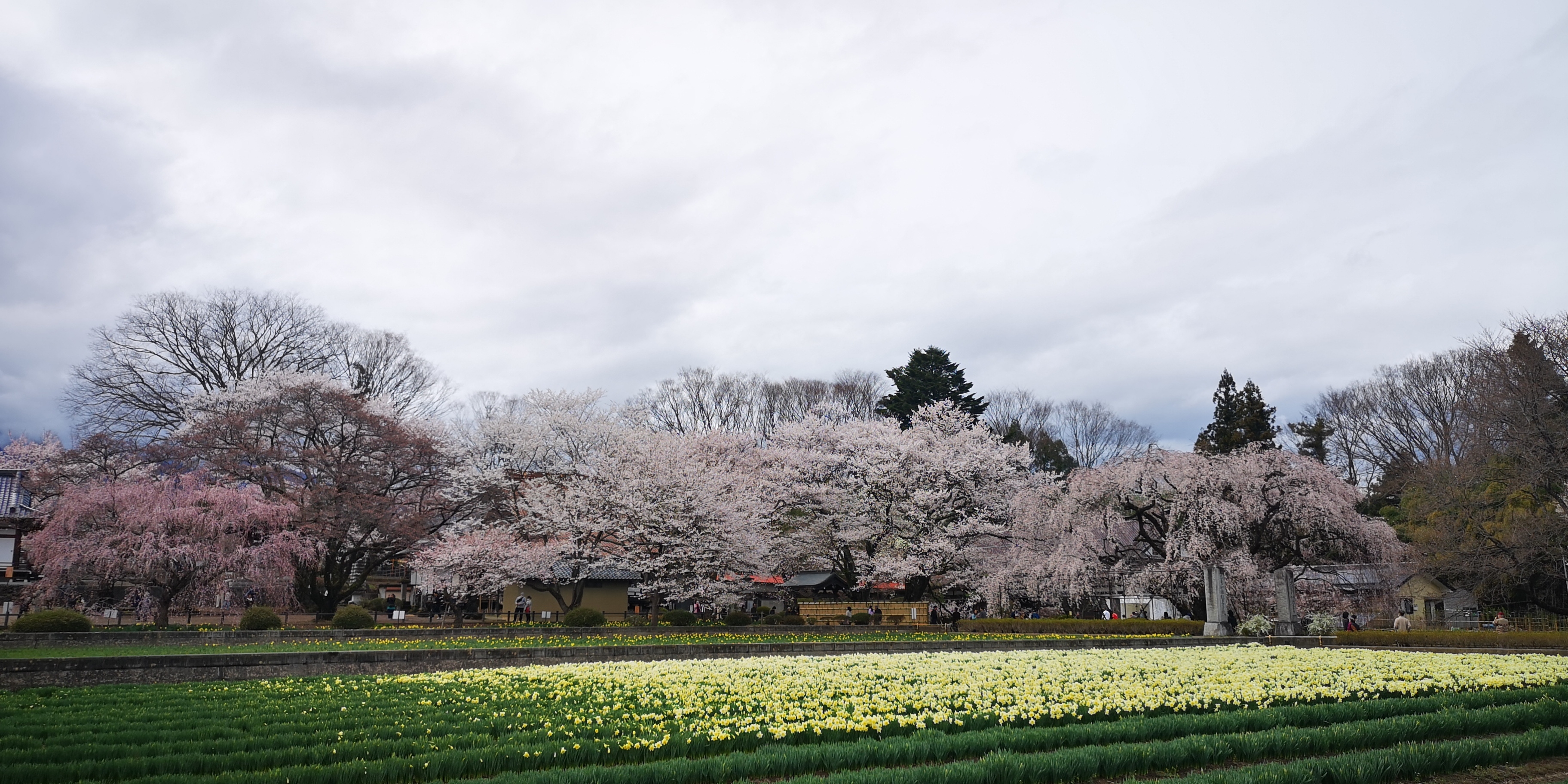 http://www.alpico.co.jp/shikinomori/news/4f88cbcda57d81c107380464e1e3fd72e6e1b5ad.jpg