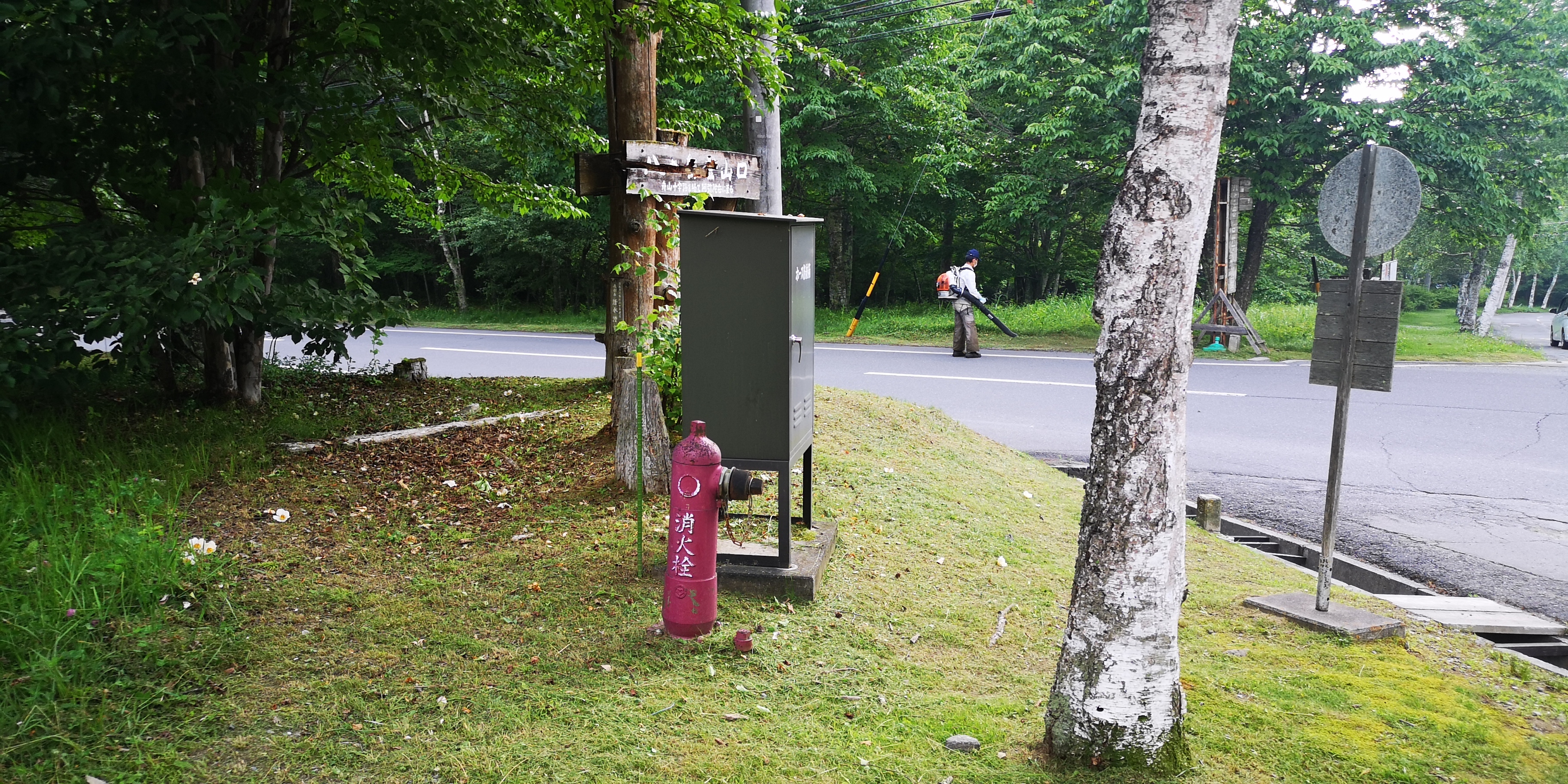 http://www.alpico.co.jp/shikinomori/news/795fcdeb7d185a36ef3a7eef53879ee17528ba58.jpg