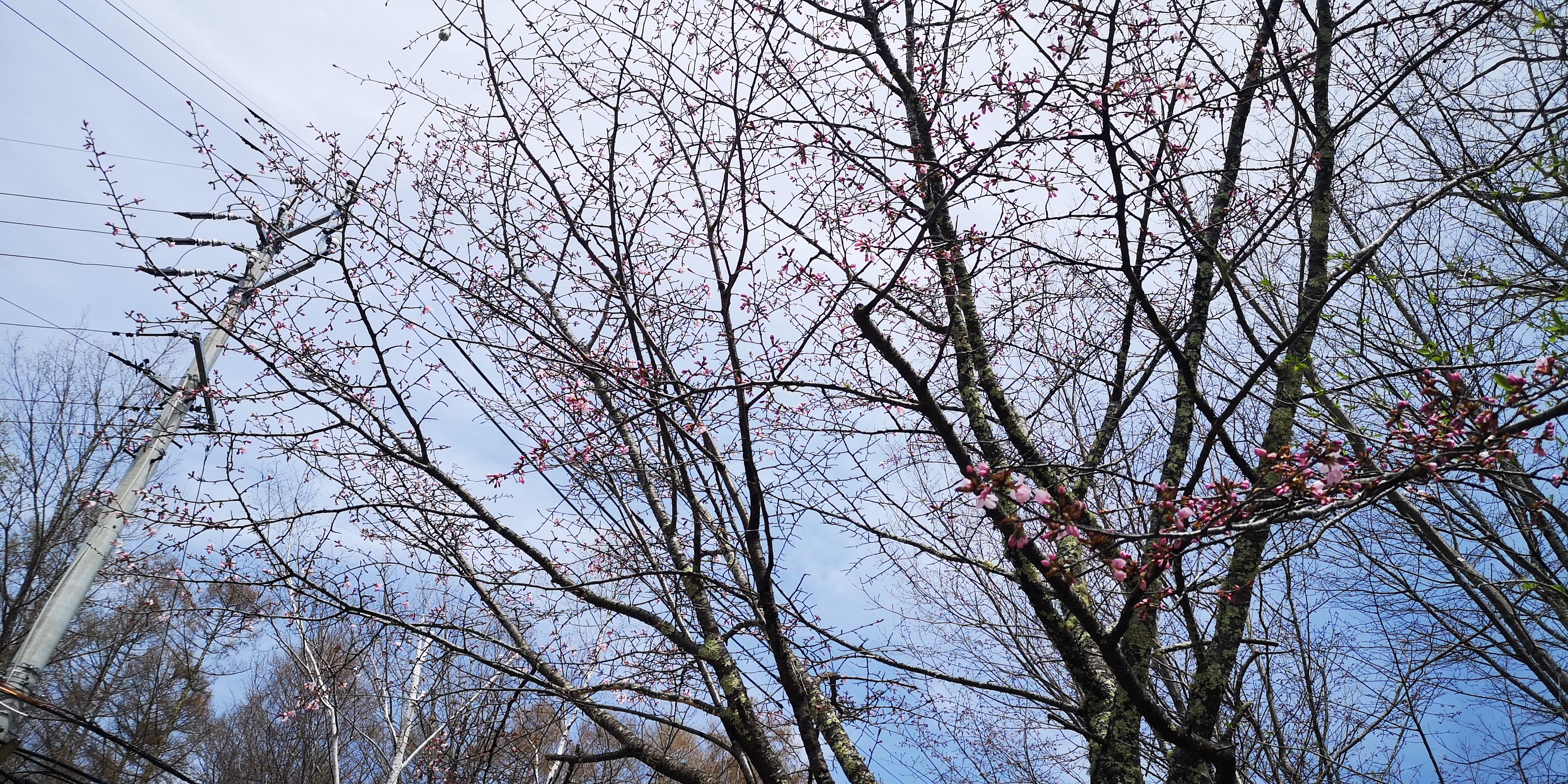 http://www.alpico.co.jp/shikinomori/news/7ea572ad987fd01e0eecd756df1be09584a8f008.jpg