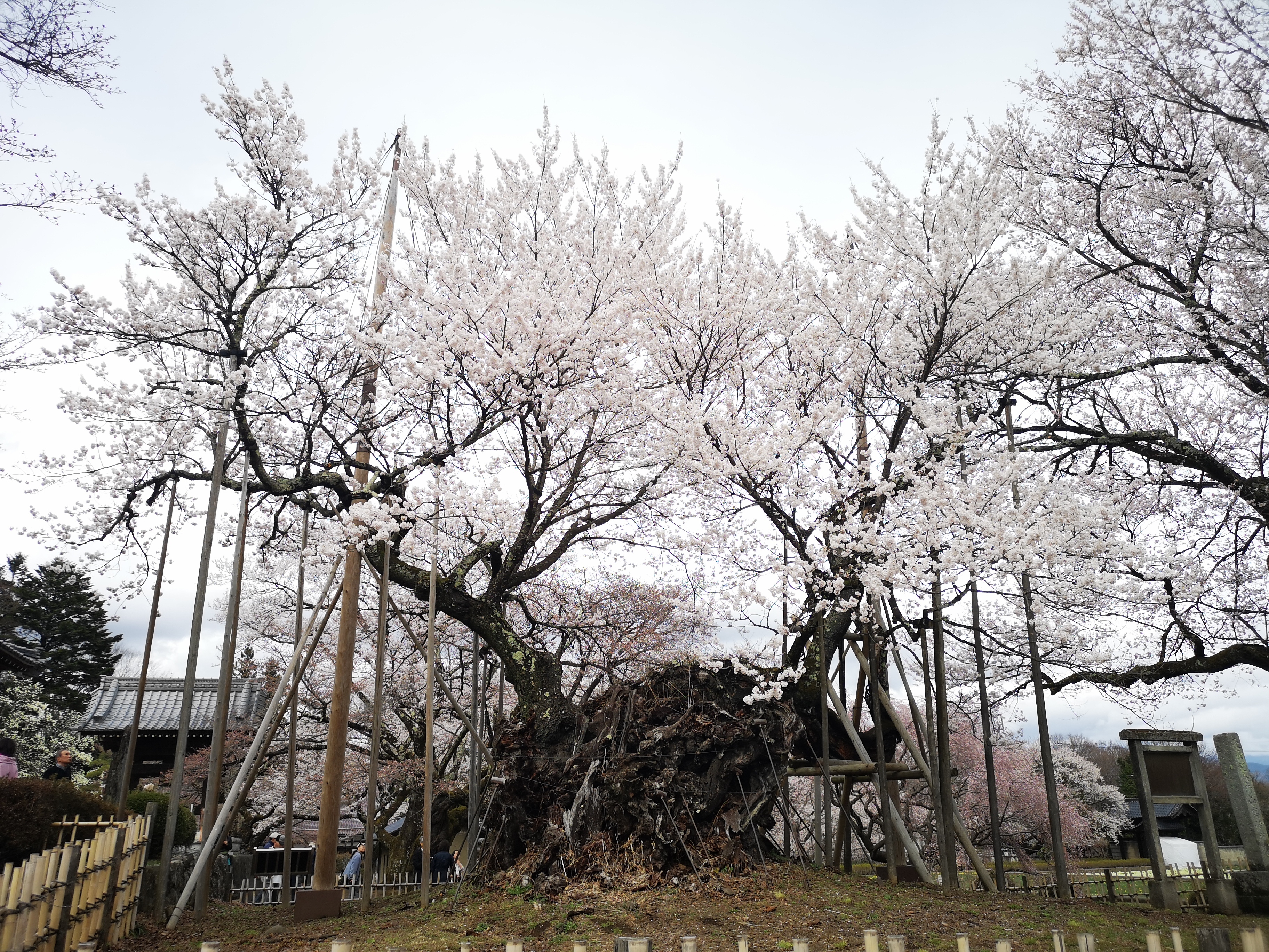 http://www.alpico.co.jp/shikinomori/news/8eca7c90efea9f39d74f2db5ec85307cecfc7247.jpg