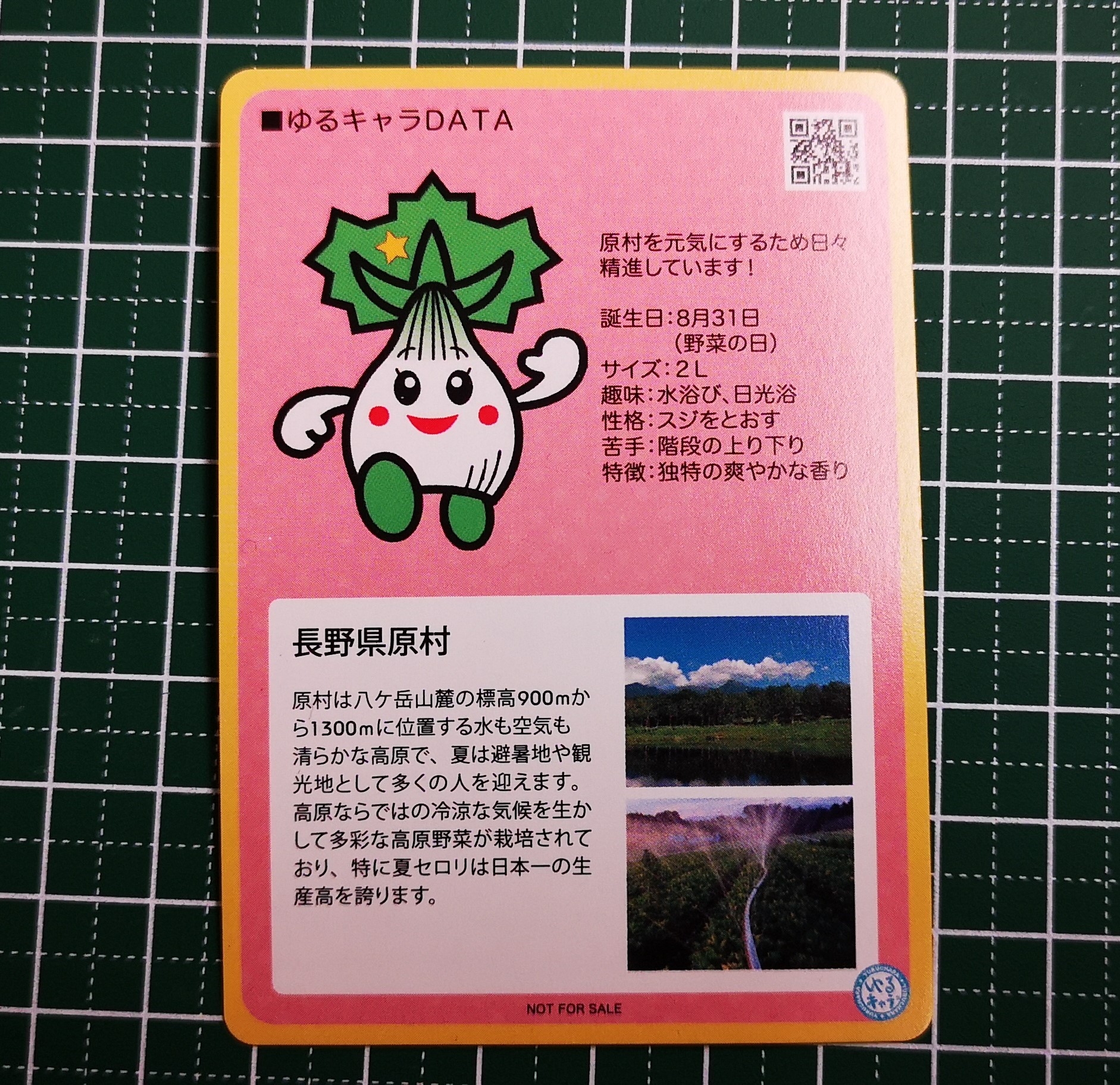 http://www.alpico.co.jp/shikinomori/news/IMG_20250108_170334.jpg