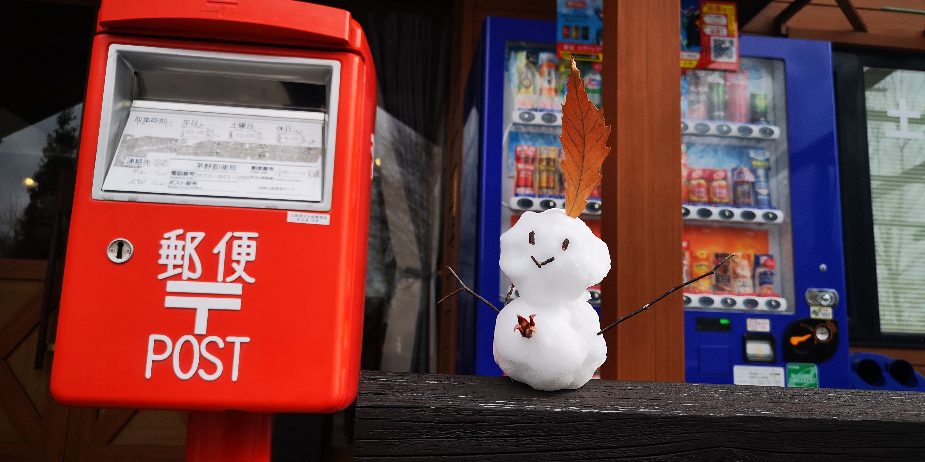 http://www.alpico.co.jp/shikinomori/news/IMG_20250203_130449.jpg