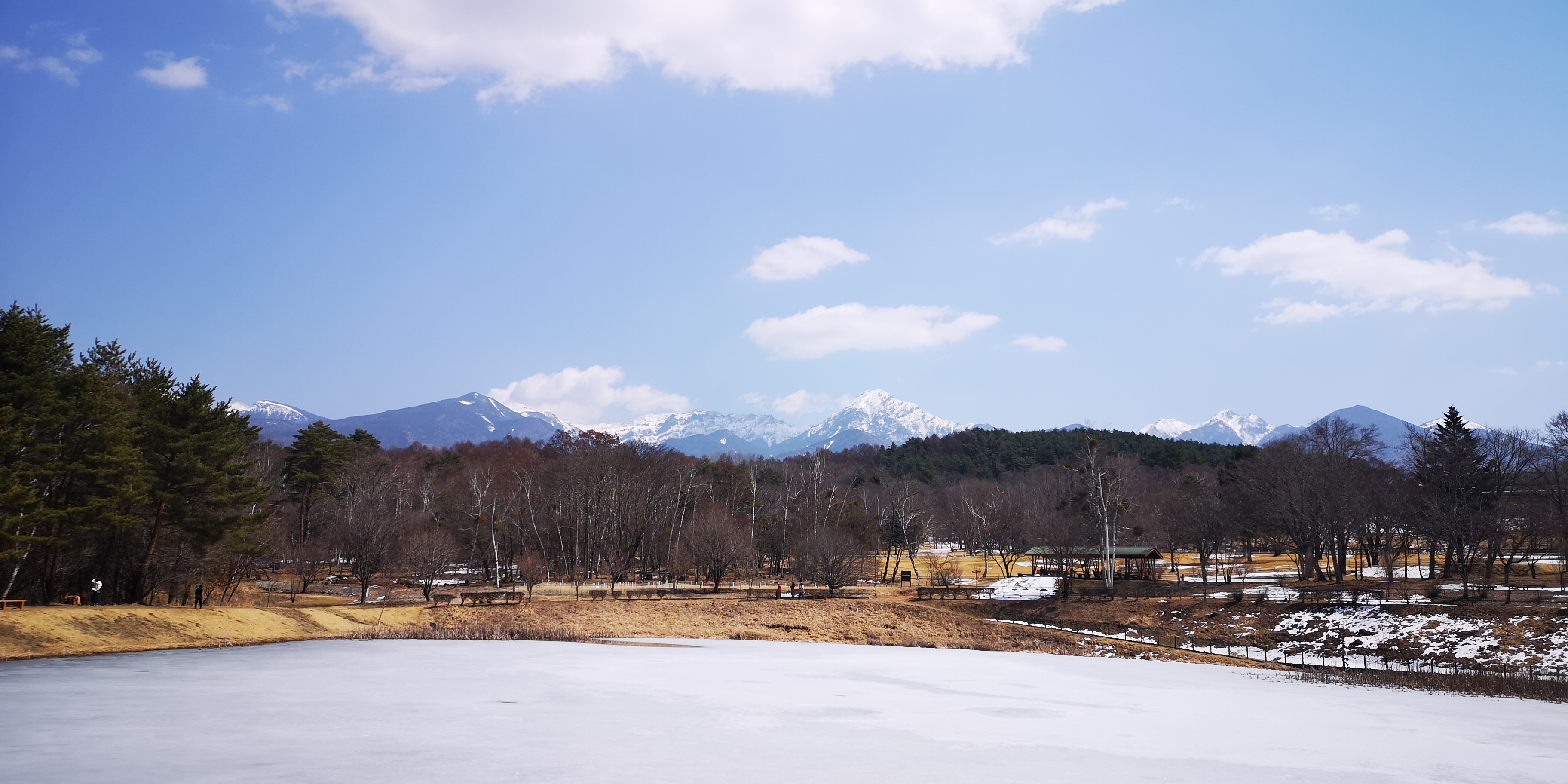 http://www.alpico.co.jp/shikinomori/news/IMG_20250323_112838.jpg