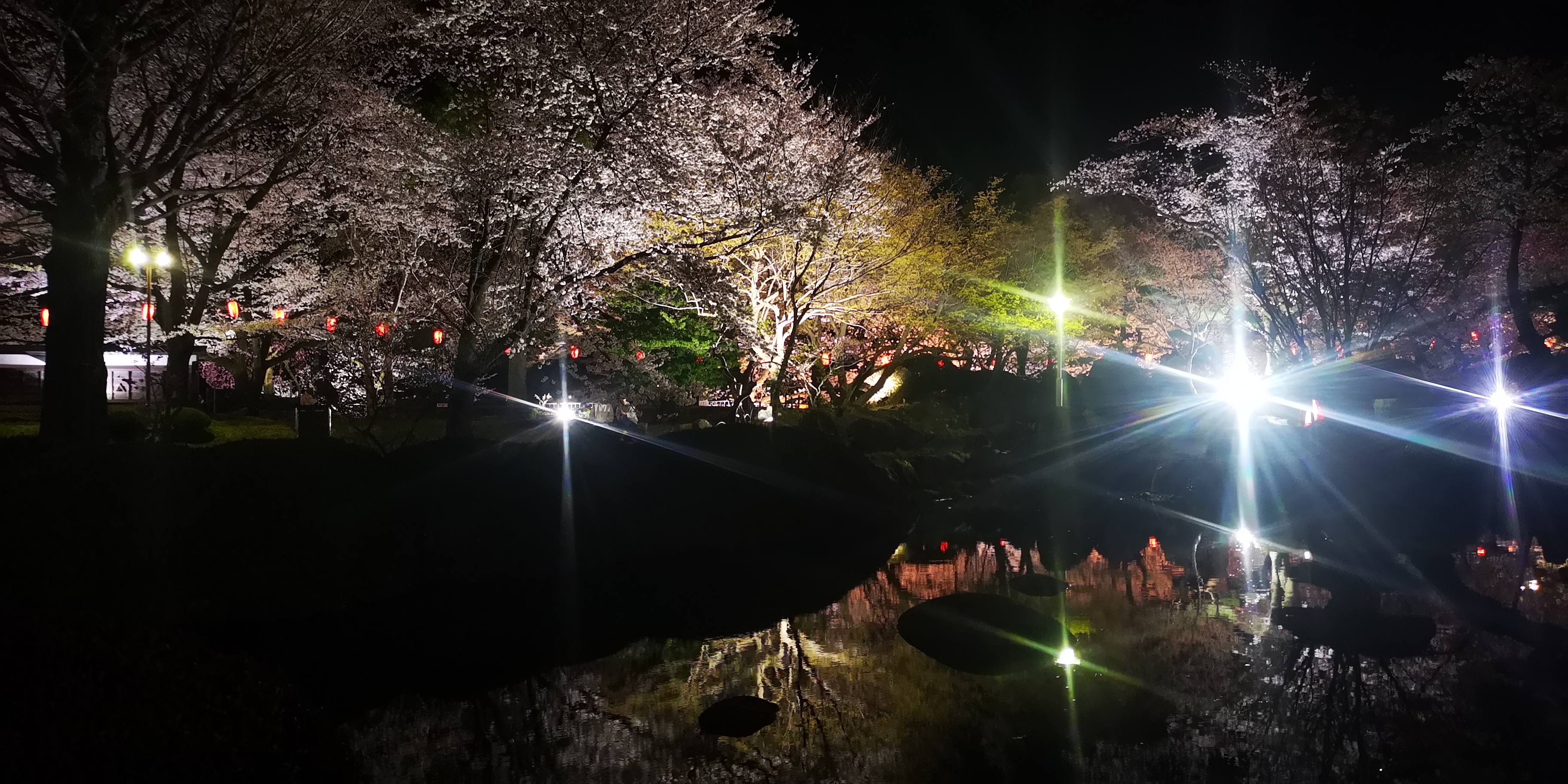 http://www.alpico.co.jp/shikinomori/news/IMG_20250416_202633.jpg