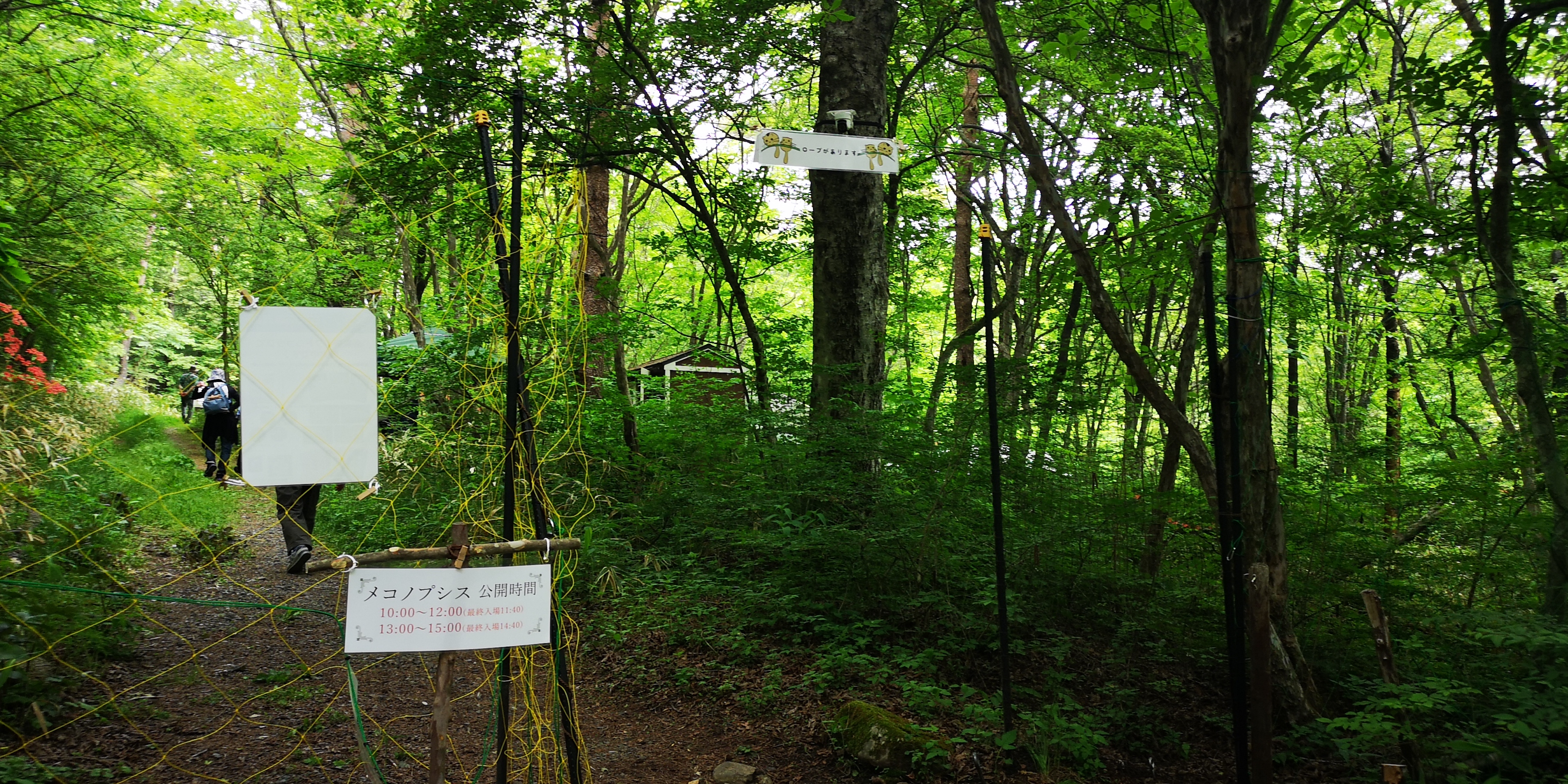 http://www.alpico.co.jp/shikinomori/news/IMG_20250609_103646.jpg
