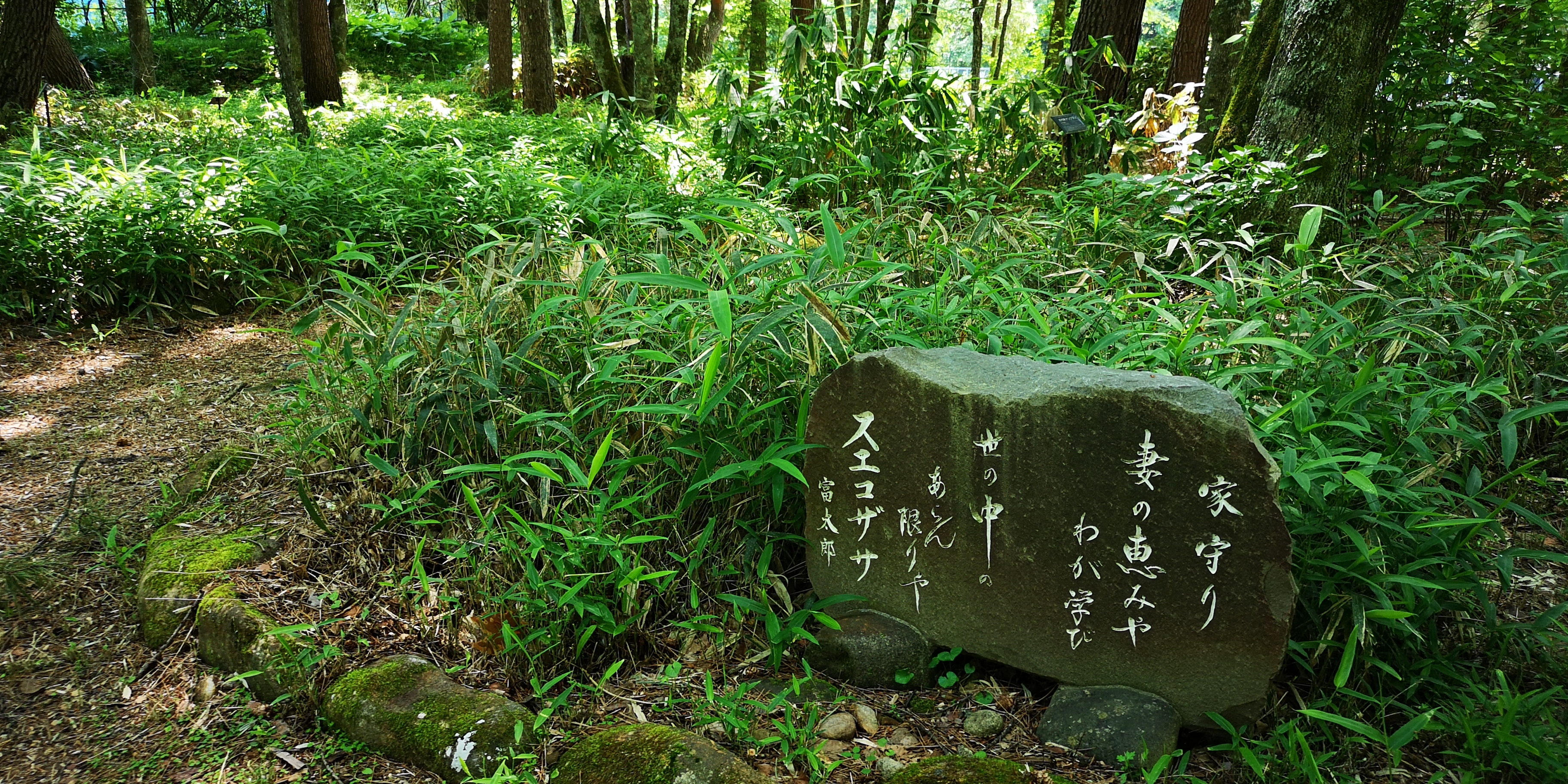 http://www.alpico.co.jp/shikinomori/news/IMG_20250628_130632.jpg