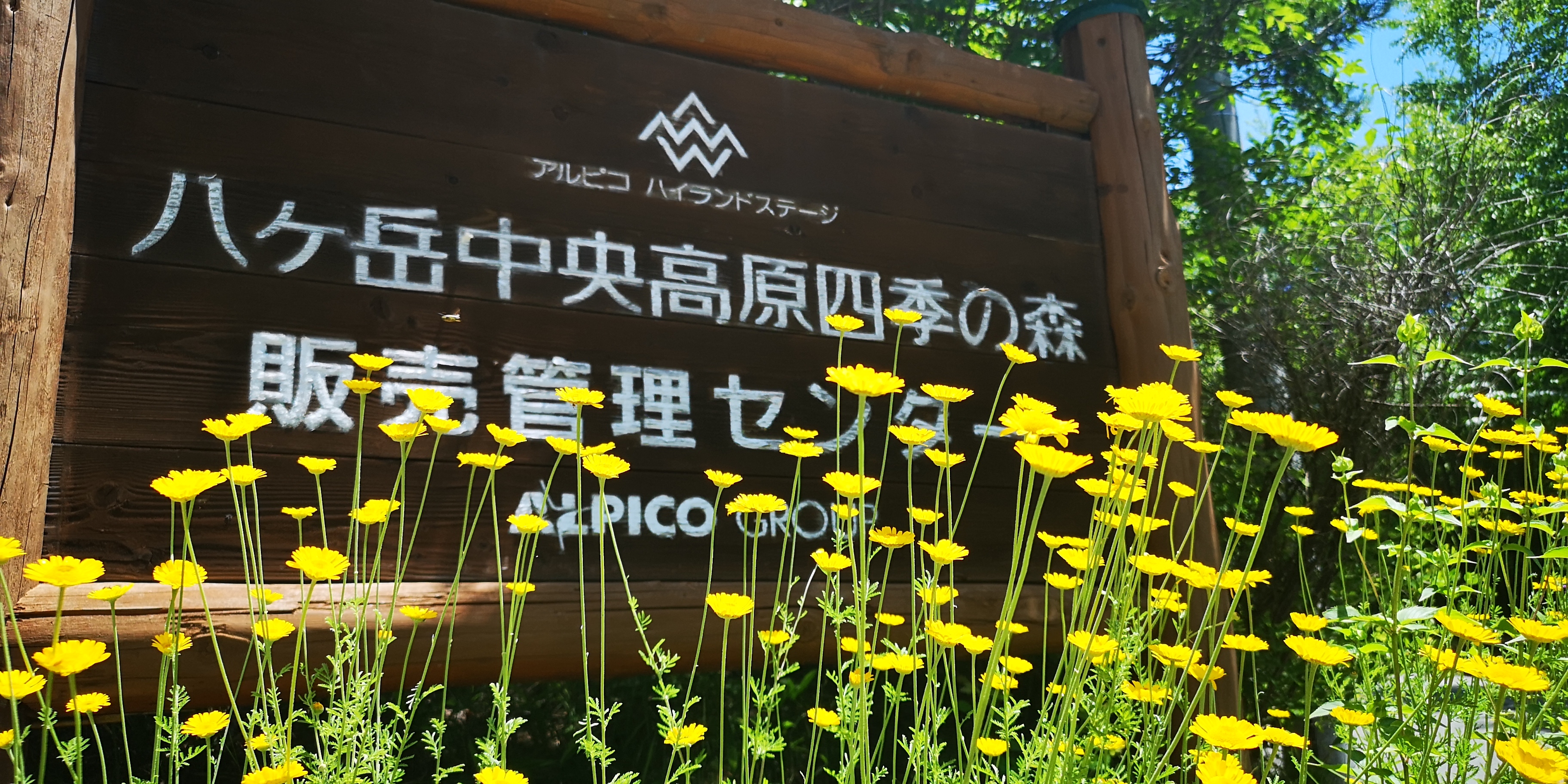 http://www.alpico.co.jp/shikinomori/news/IMG_20250713_115321.jpg