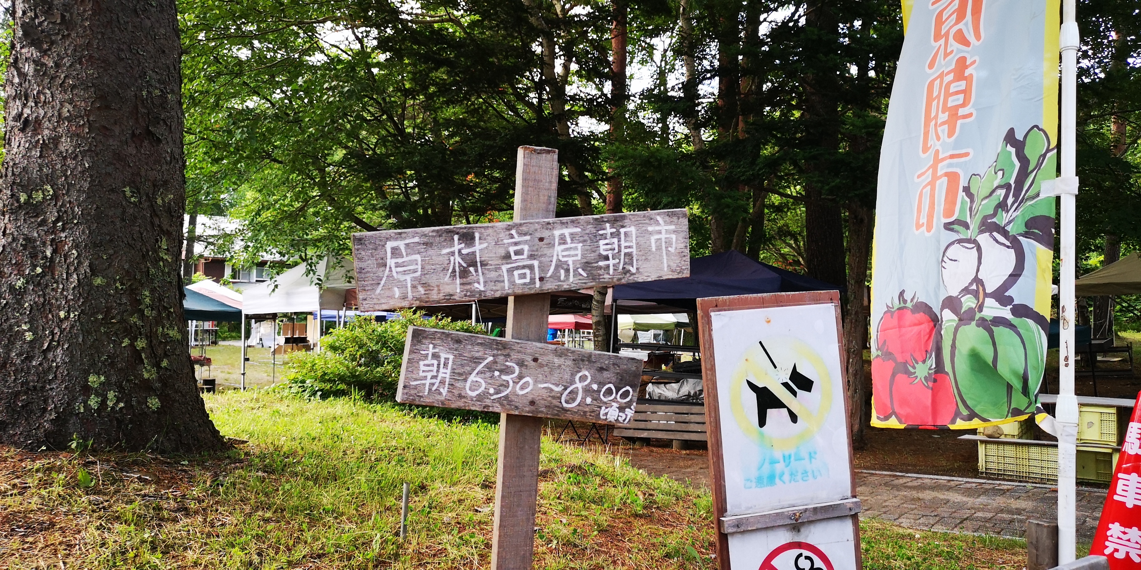 http://www.alpico.co.jp/shikinomori/news/IMG_20250718_183802.jpg