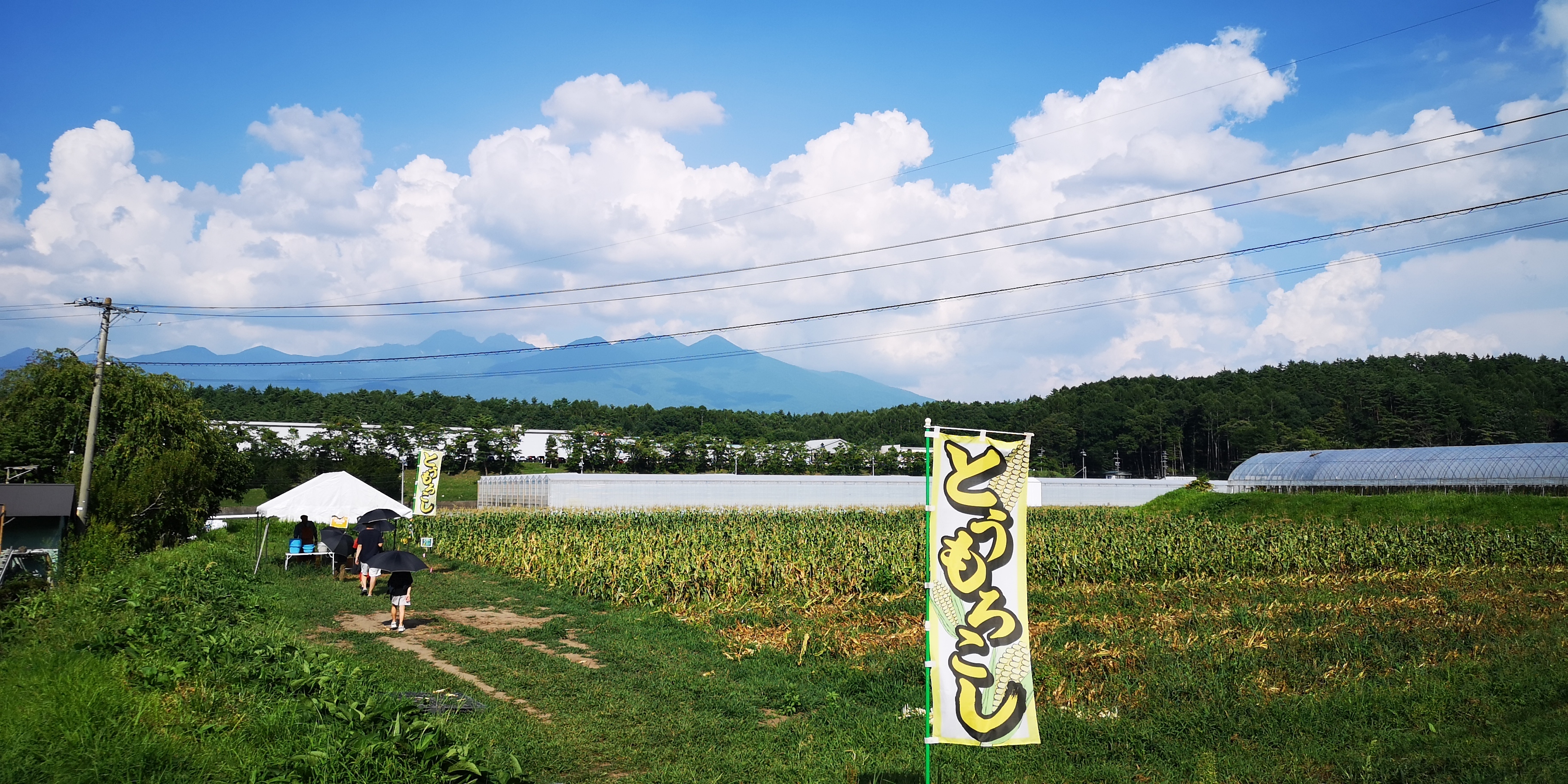 http://www.alpico.co.jp/shikinomori/news/IMG_20250821_150352.jpg