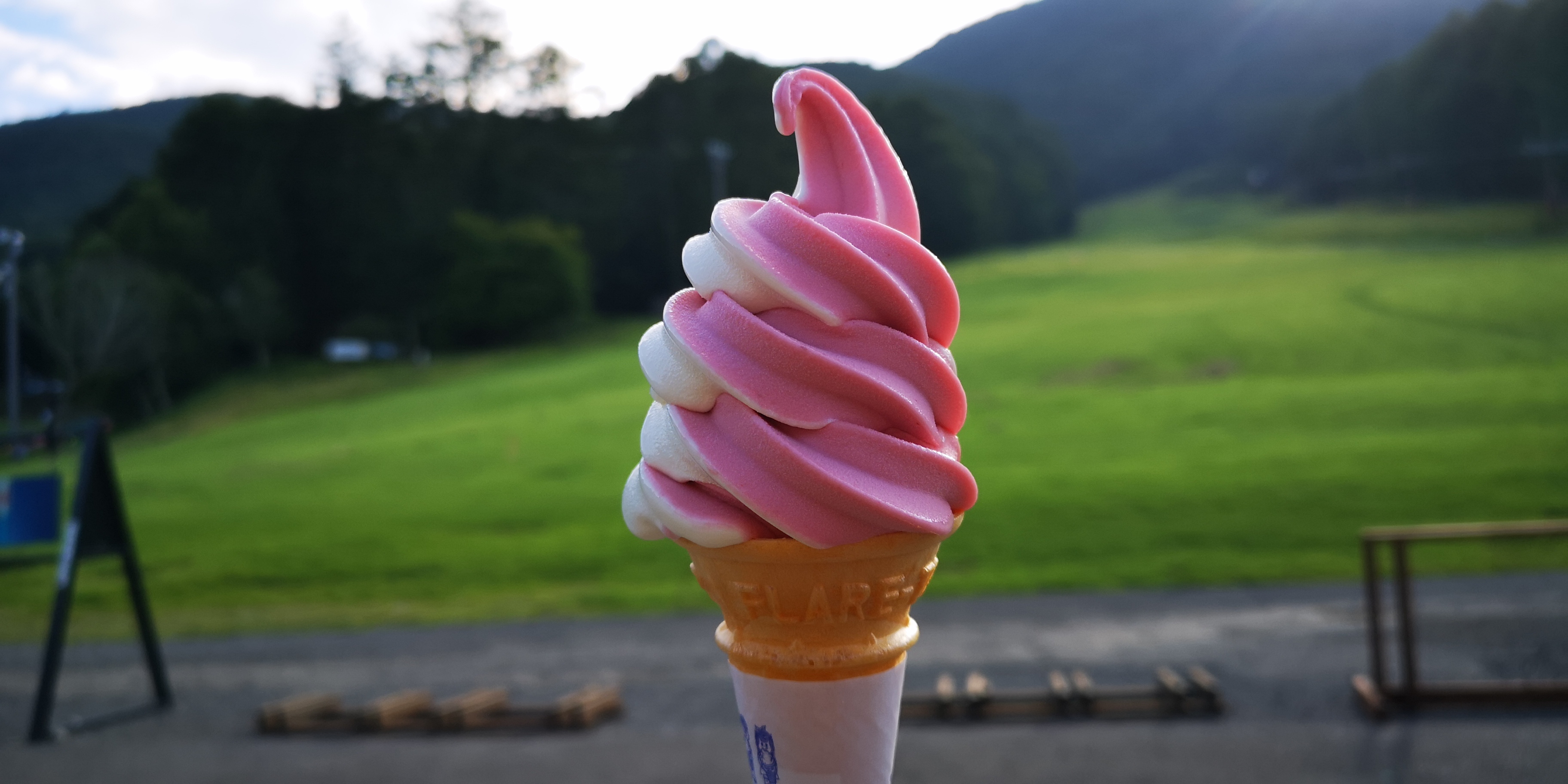 http://www.alpico.co.jp/shikinomori/news/IMG_20250828_162334.jpg