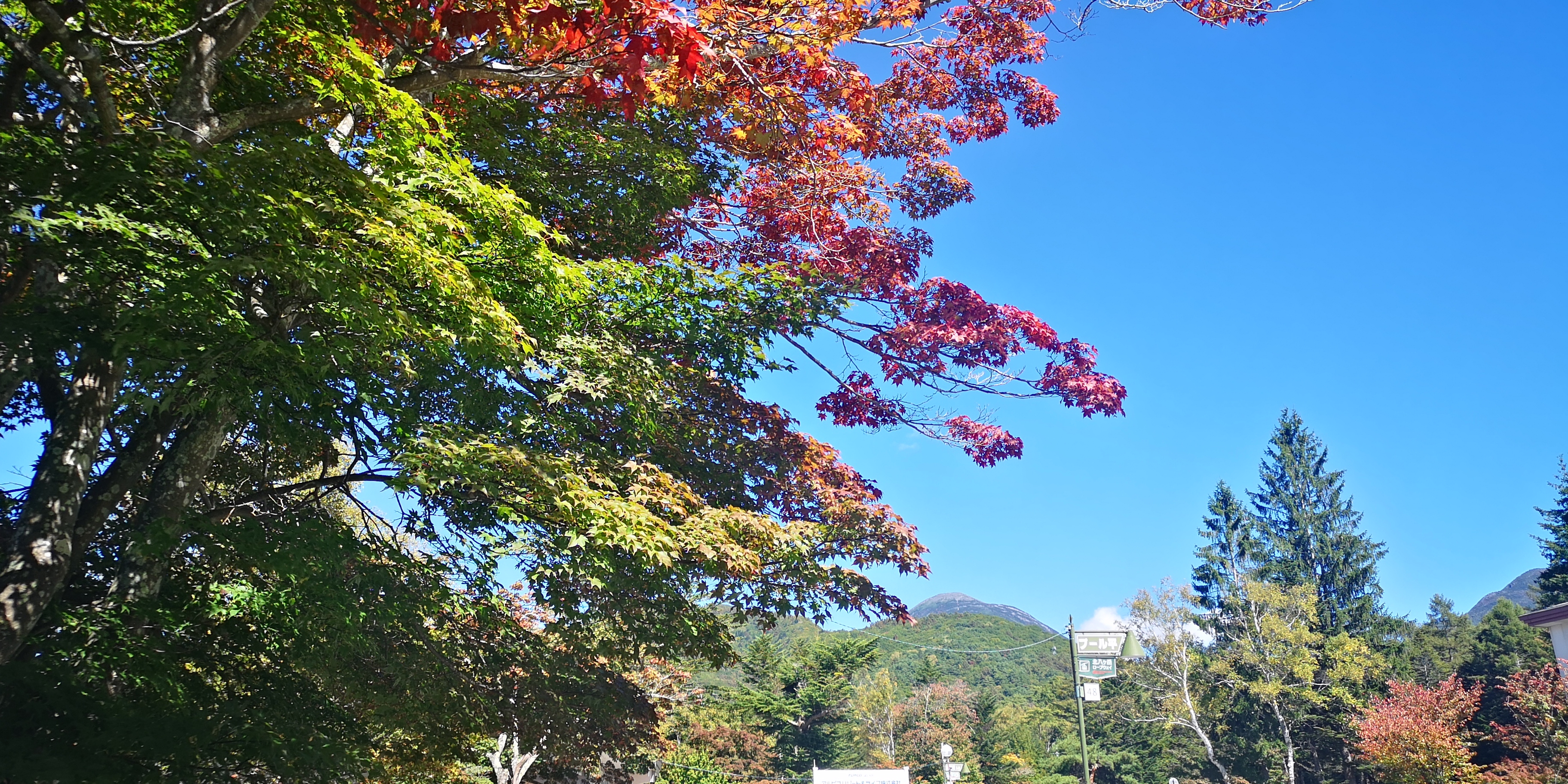 http://www.alpico.co.jp/shikinomori/news/IMG_20251008_111237.jpg