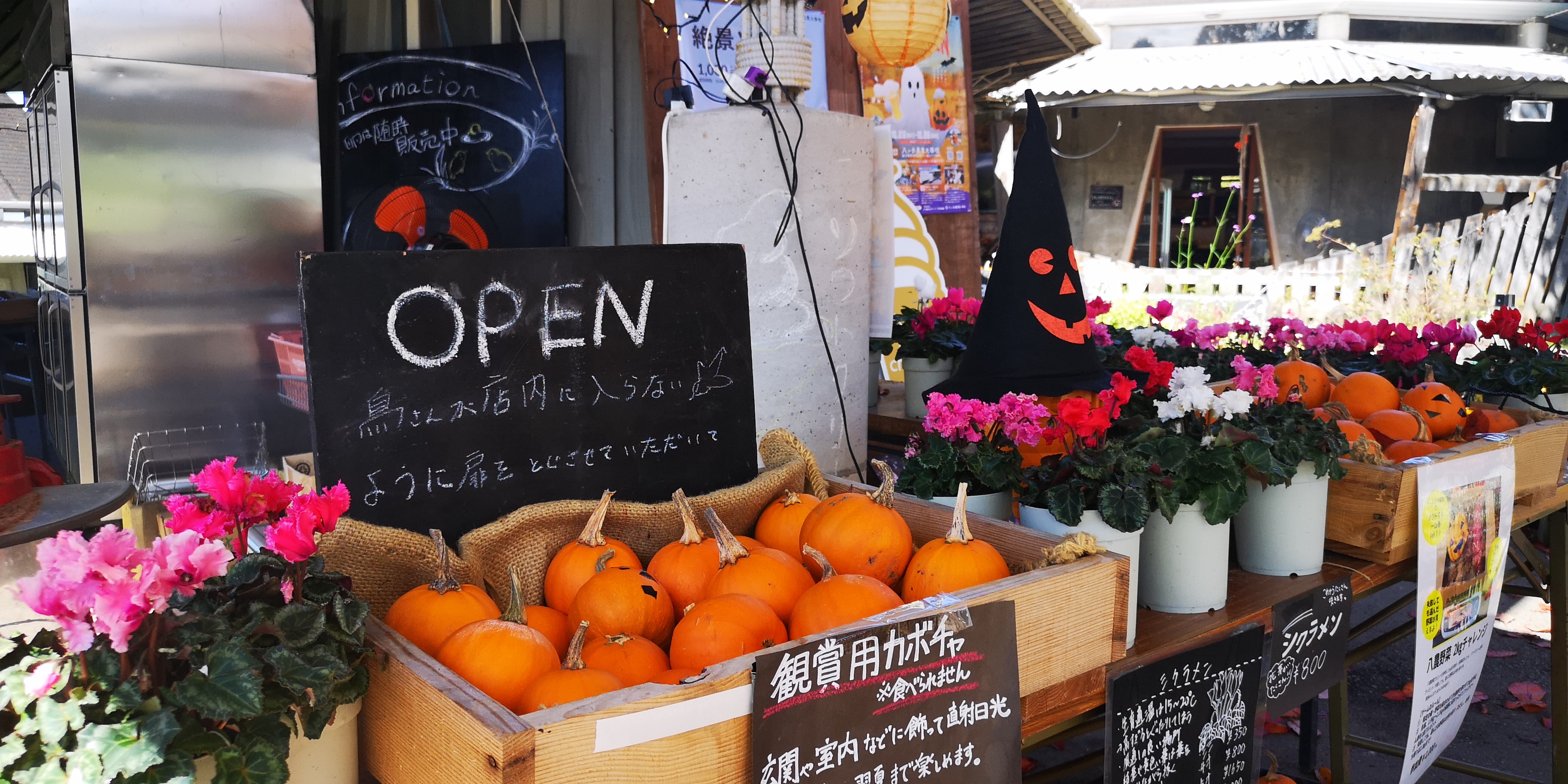 http://www.alpico.co.jp/shikinomori/news/IMG_20251020_103906.jpg