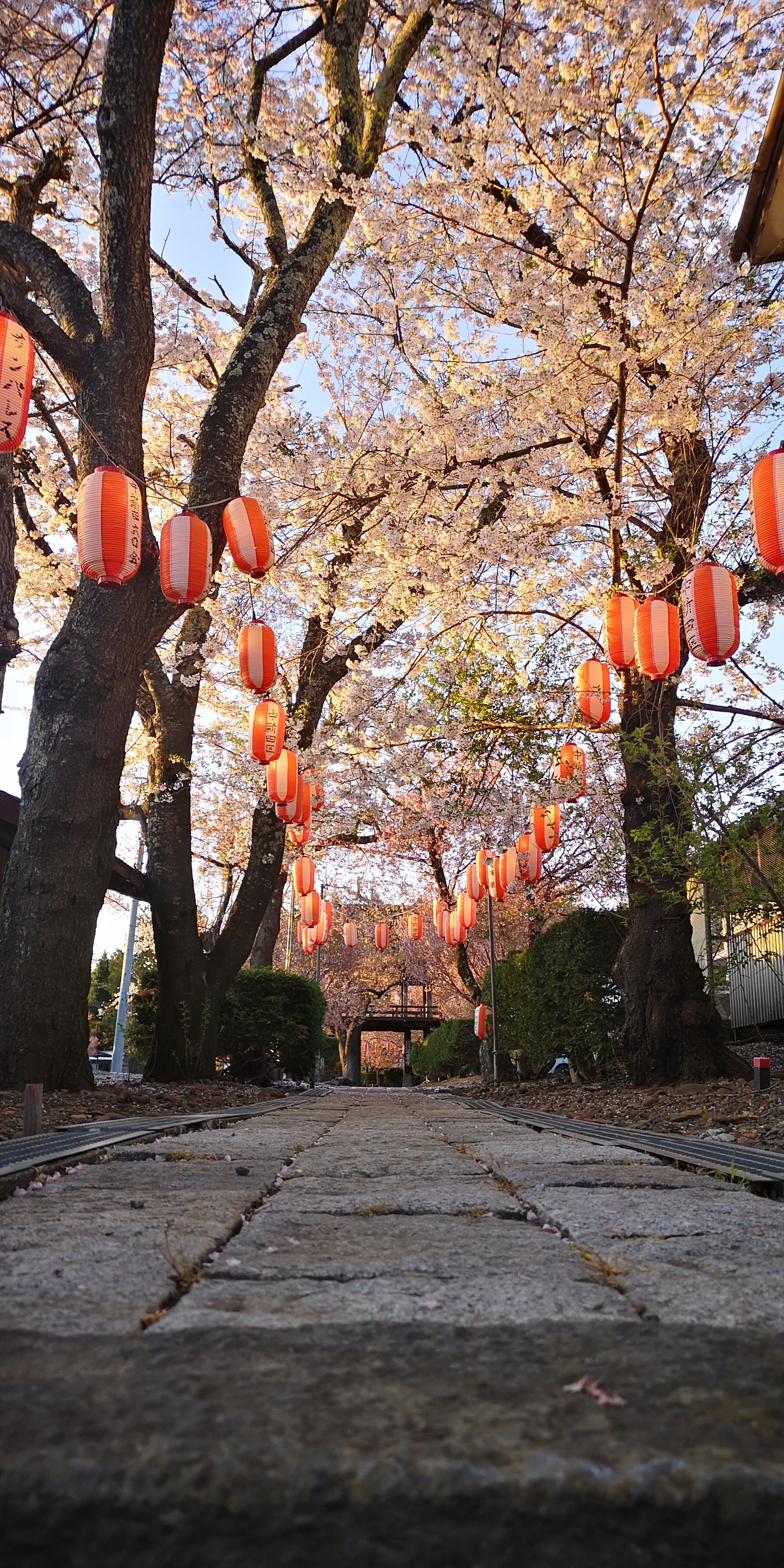 http://www.alpico.co.jp/shikinomori/news/a23d3deaa1fe055c65d0cf7a373eceb33d848304.jpg