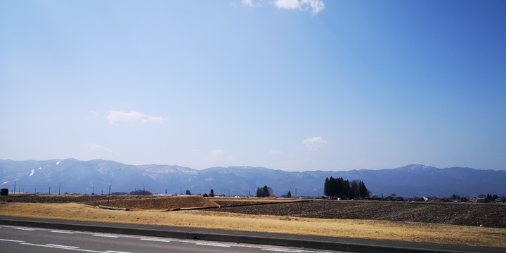 IMG_20250323_111956.jpg
