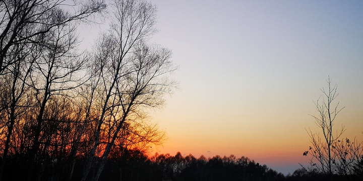 IMG_20250324_130657.jpg