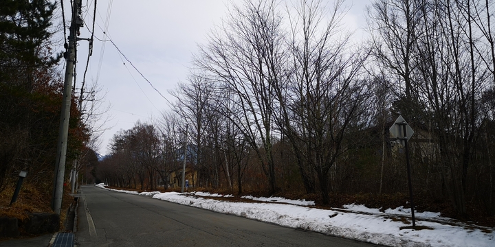 IMG_20250324_131010.jpg