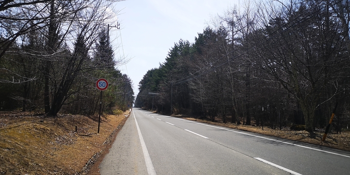 IMG_20250325_130916.jpg