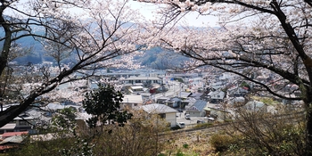 IMG_20250417_123751.jpg
