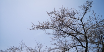 IMG_20250419_113951.jpg