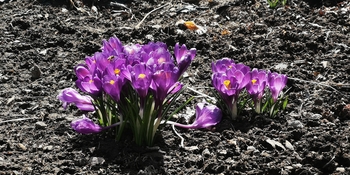 IMG_20250405_131114.jpg