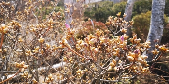 IMG_20250405_131211.jpg
