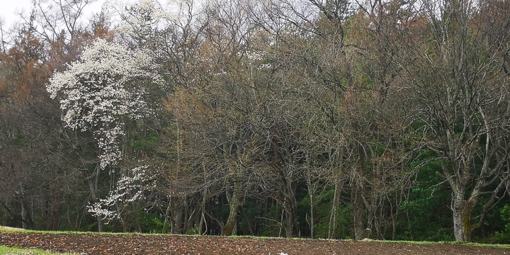 IMG_20250413_150831.jpg