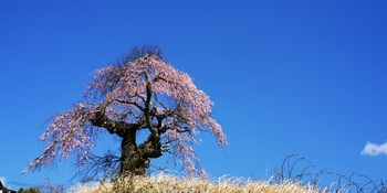 IMG_20250416_131720.jpg