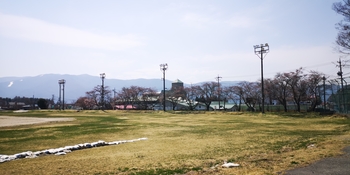 IMG_20250417_121450.jpg