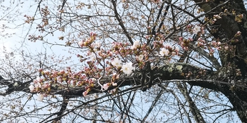 IMG_20250417_121653.jpg