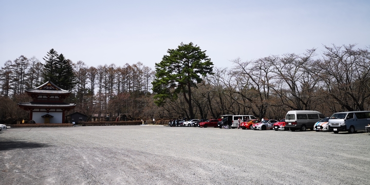 IMG_20250419_113630.jpg