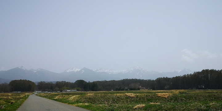 IMG_20250419_115242.jpg